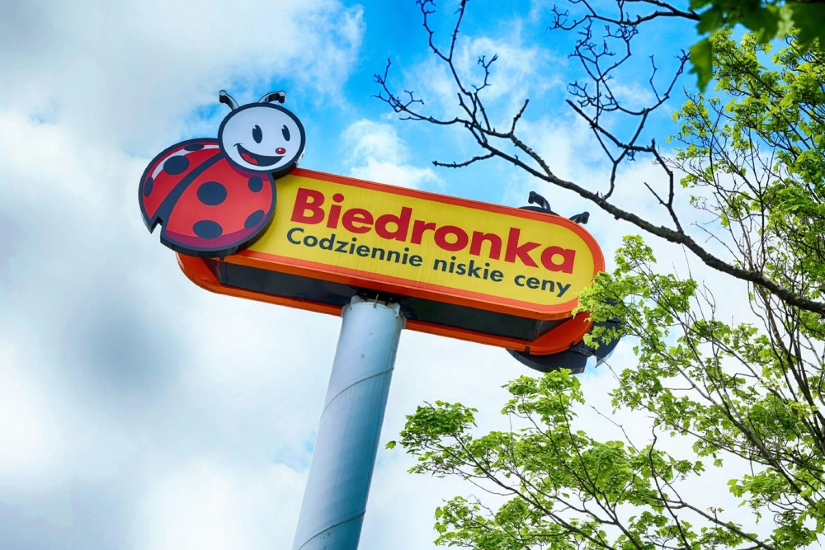 Szok! Ile zarabia się w Biedronce? Podano kwoty