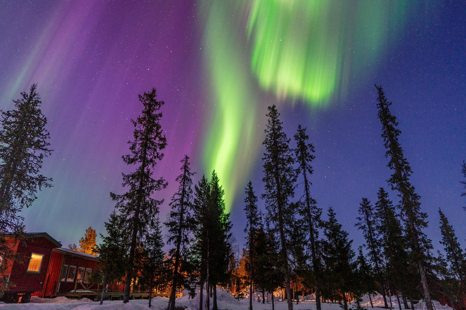 Zjawiska astronomiczne Zorza polarna nad Polską już tej nocy! 