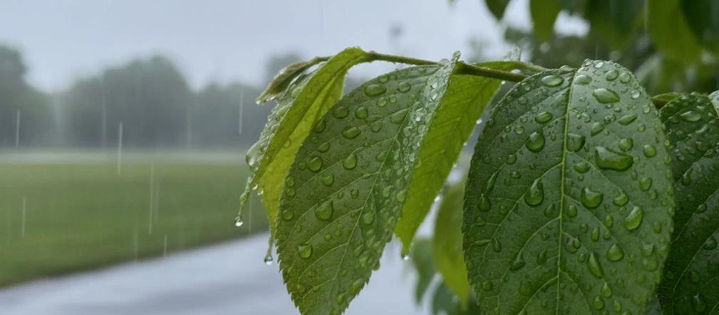 Weekend w Lublinie zacznie się chłodno. Zrobi się cieplej, ale niedziela będzie deszczowa