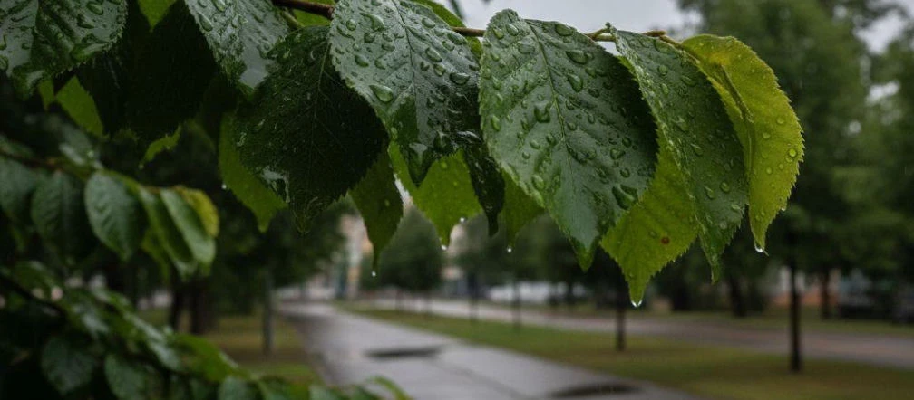 Weekend w Toruniu przyniesie zmienną aurę. Sobota da odpocząć od deszczu