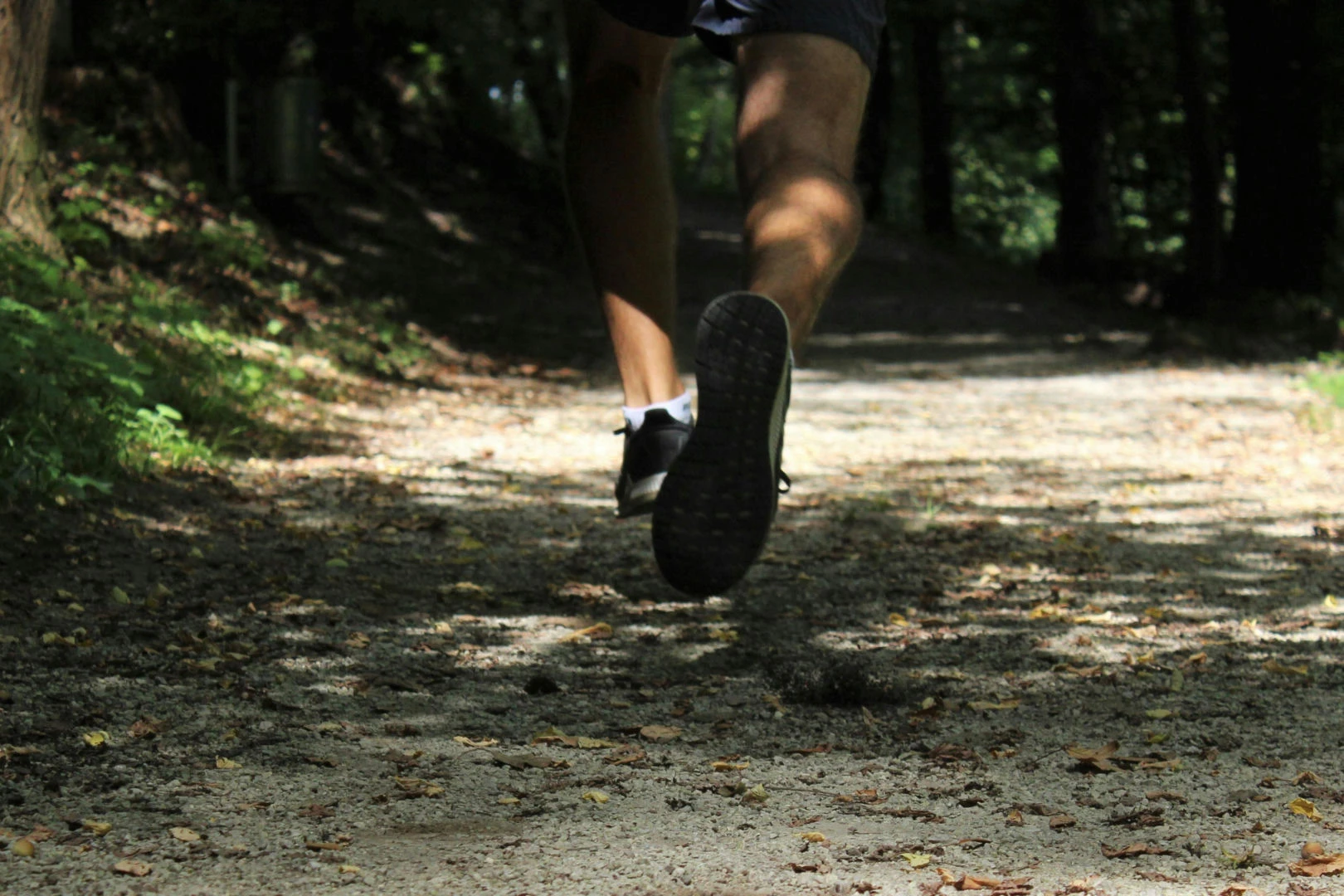 wydarzenia Maraton po wąwozach w Kazimierzu Dolnym