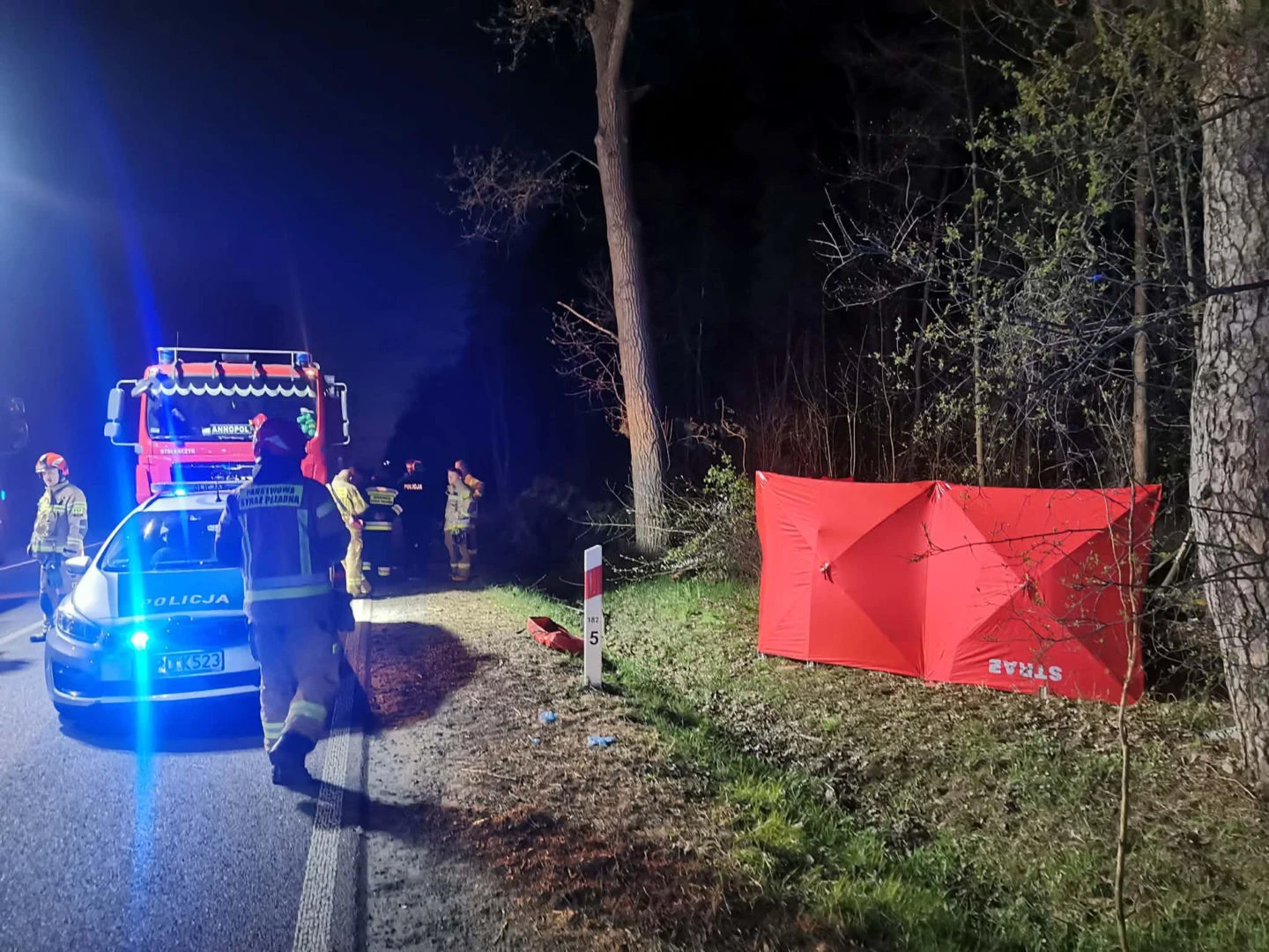 wiadomości Nastolatek zginął w wypadku samochodowym w woj. lubelskim