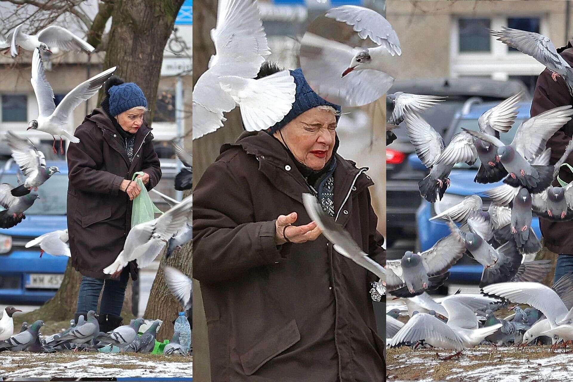 Zdjęcia paparazzi! Tak dziś wygląda Anna Chodakowska z 