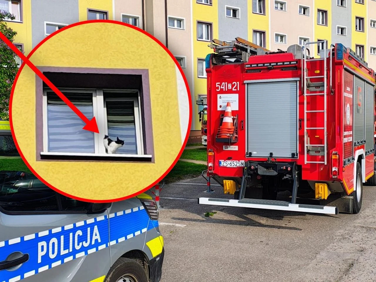 Liczyła się każda minuta Właściciele nie pomyśleli i mogło dojść do tragedii. Strażacy ruszyli na pomoc kotu,…