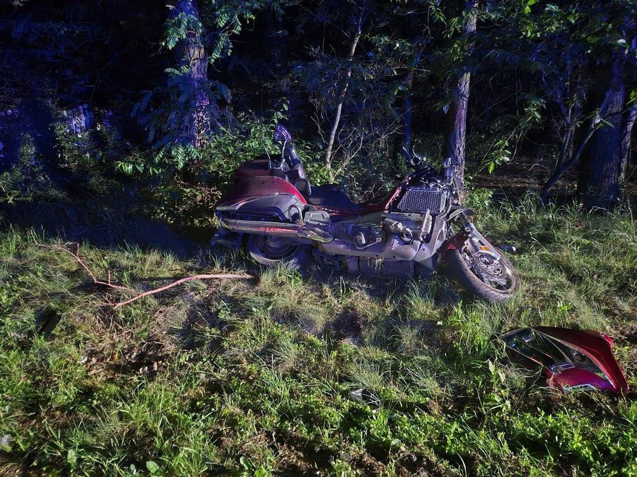 DRAMATYCZNY WYPADEK Motocyklista wjechał w łosia. Nie żyje pasażerka, kierujący trafił do szpitala