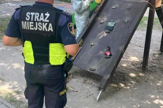 O krok od tragedii! Gniazdo os na placu zabaw! Pilna interwencja strażników miejskich i strażaków