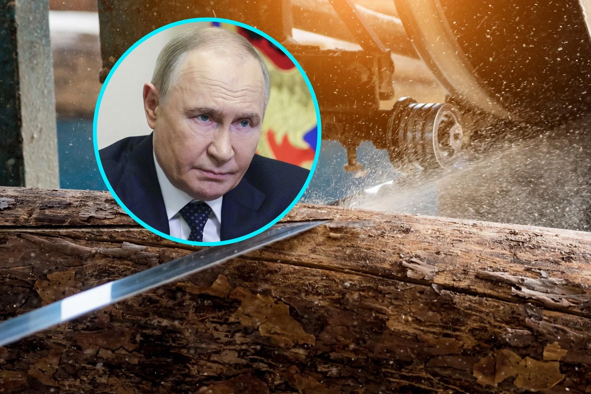 KOLEJNY SKANDAL Brzozy od Putina, ogórki z Kremla. Rosyjskie towary wciąż płyną do Europy
