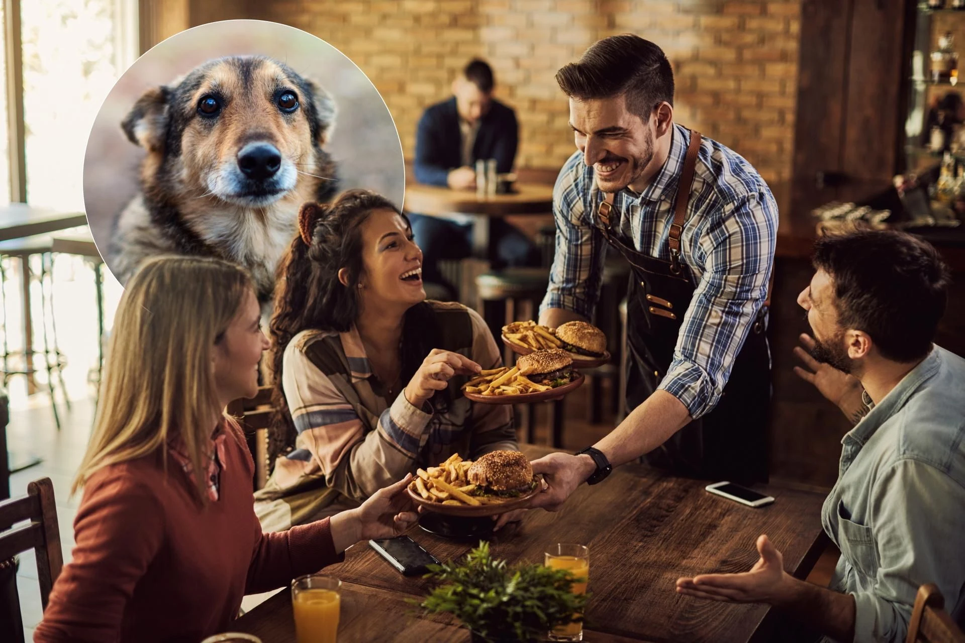 Tak można pomóc! Zjedz pizzę lub ramen. Pomożesz zwierzętom jak nigdy! Ruszyła kolejna edycji społecznej akcji