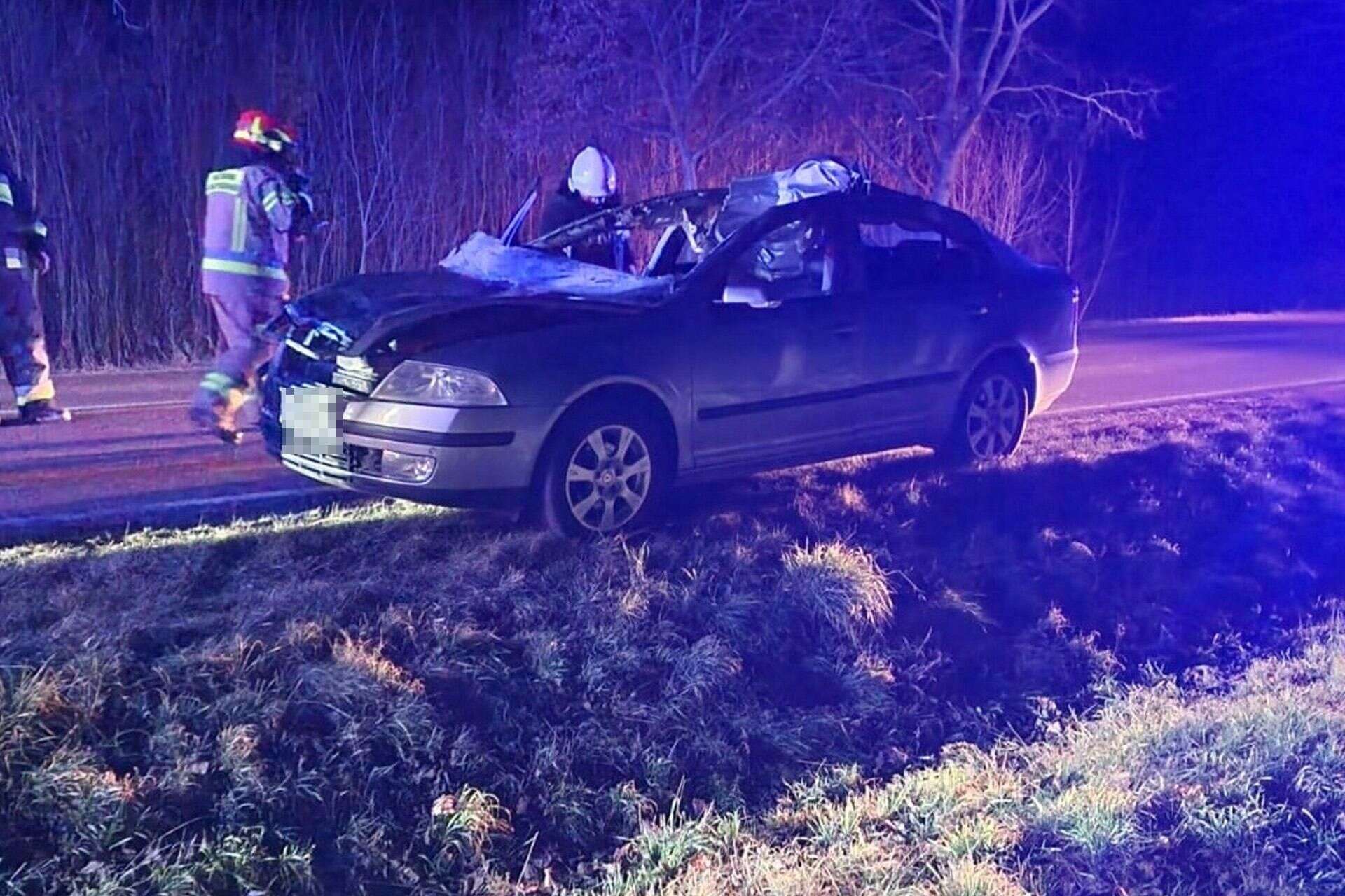 Wypadek na Podlasiu Samochód zderzył się z łosiem. Dwie osoby w szpitalu