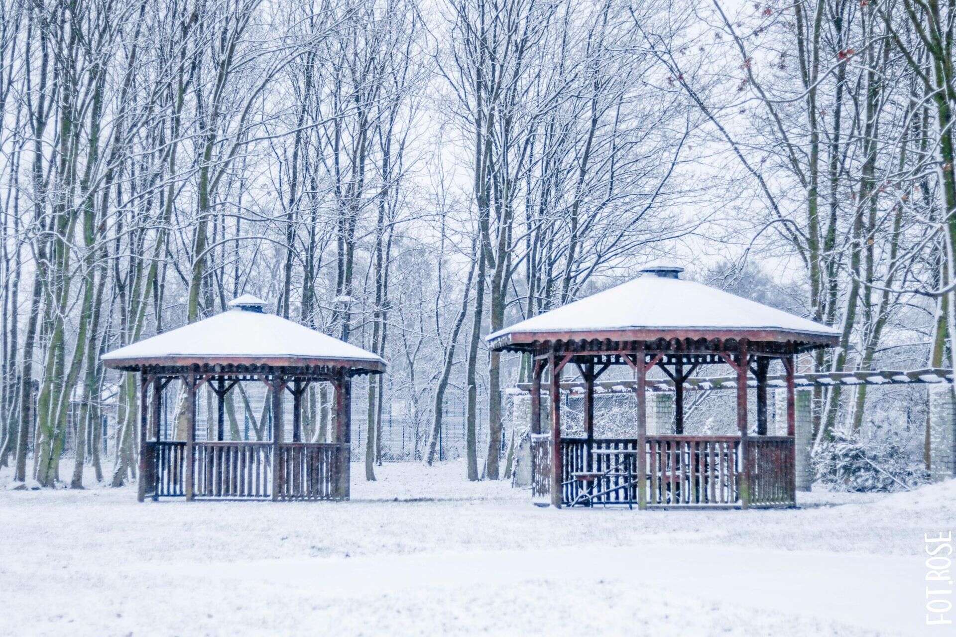 Kontratak! Zima zaatakuje śnieżycami i dwucyfrowym mrozem. Konkretne daty