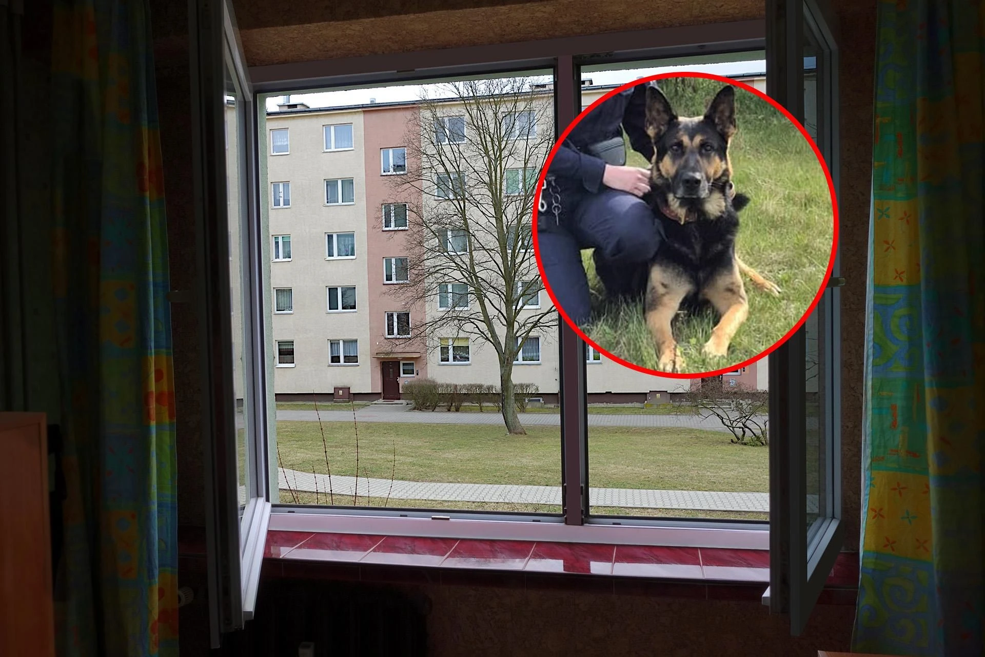 Szok w Łodzi! Zaginiony, nieprzytomny 12-latek znaleziony przez psa! Wiadomo, co stało się w domu …
