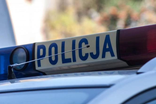Niespodziewany finał Pies wbiegł pod samochód. Kierowcy grozi 5 lat więzienia