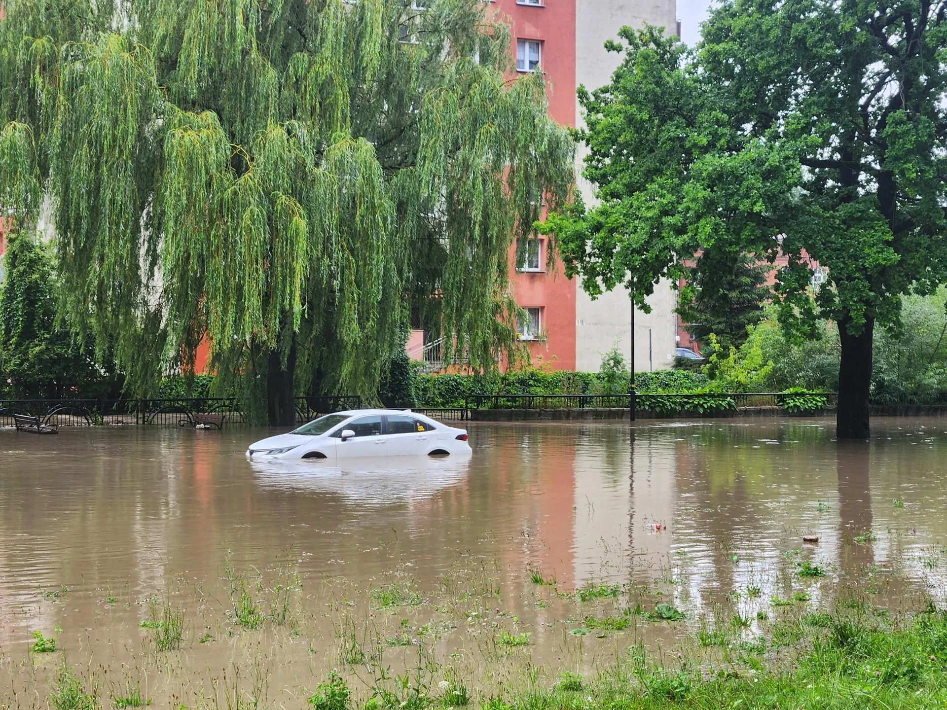 Ulewny deszcz na Pomorzu W Nowym Dworze Gdańskim zalanych jest 300 domów