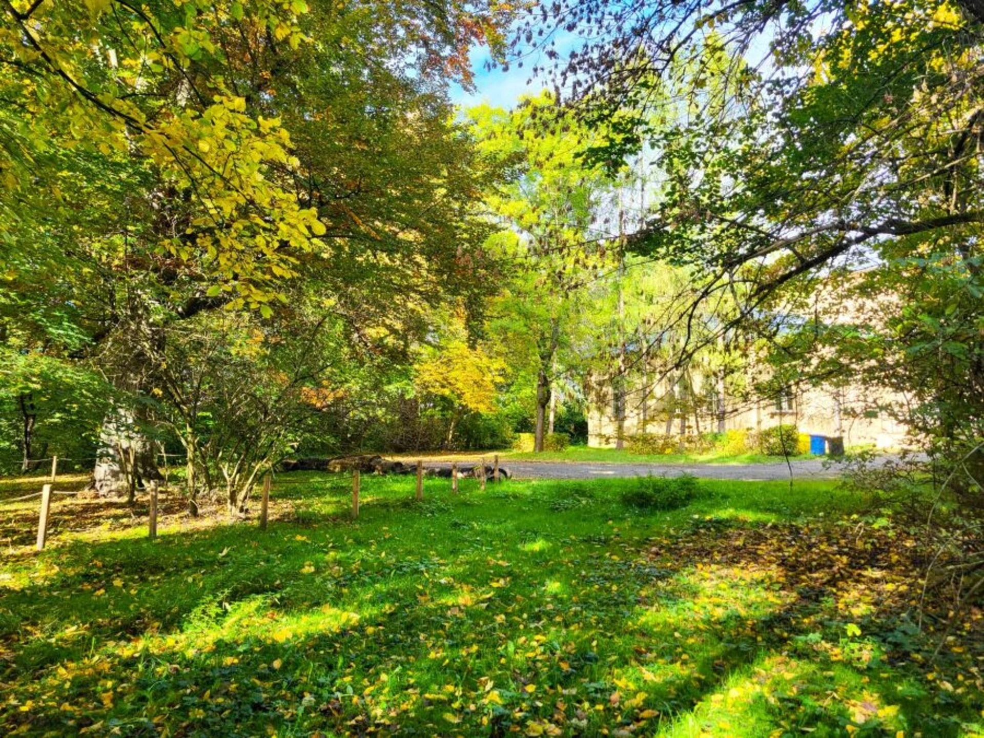 ZDJĘCIA Park w Krakowie przejdzie spektakularną metamorfozę za miliony! Pokazali, jak będzie wyglądać