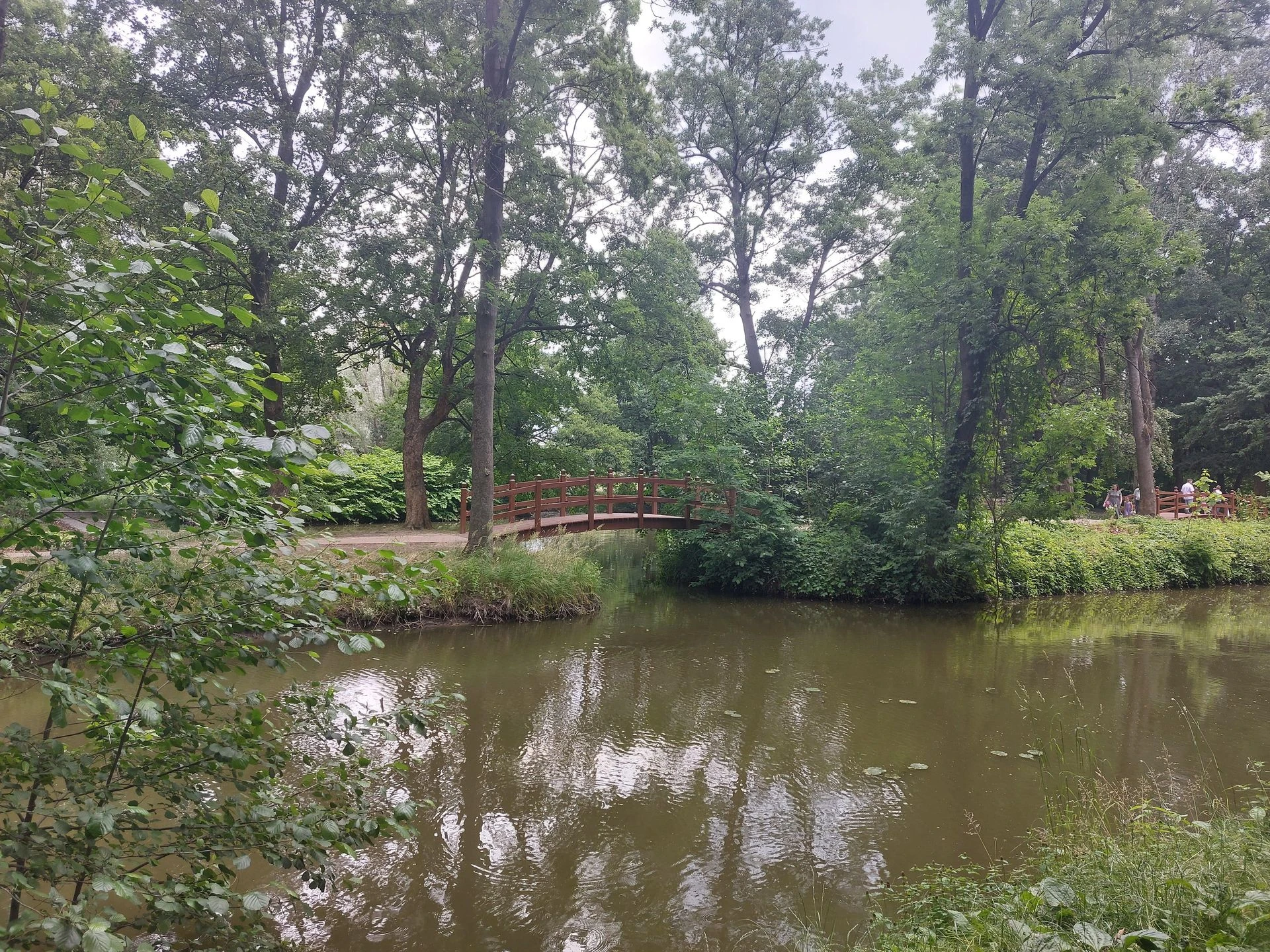 zdjęcia Zabytkowy park odzyskał blask! Kiedyś był majątkiem dworskim, teraz cieszy mieszkańc…