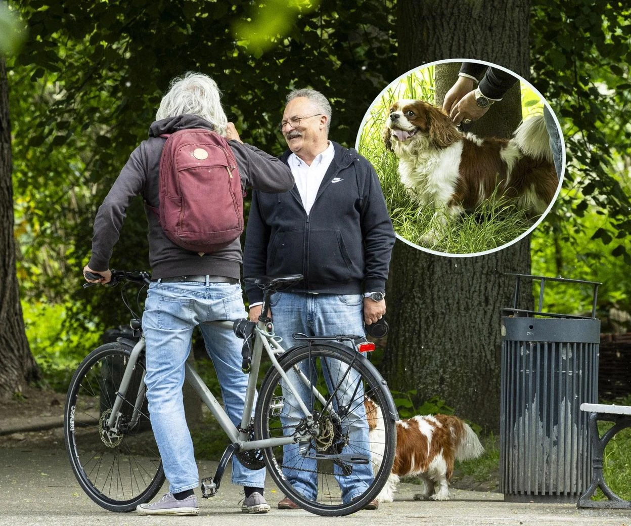 Chodzi za nim nawet do toalety Pies pomaga Markowi Jakubiakowi w kampanii. Ależ słodziak! [ZDJĘCIA]