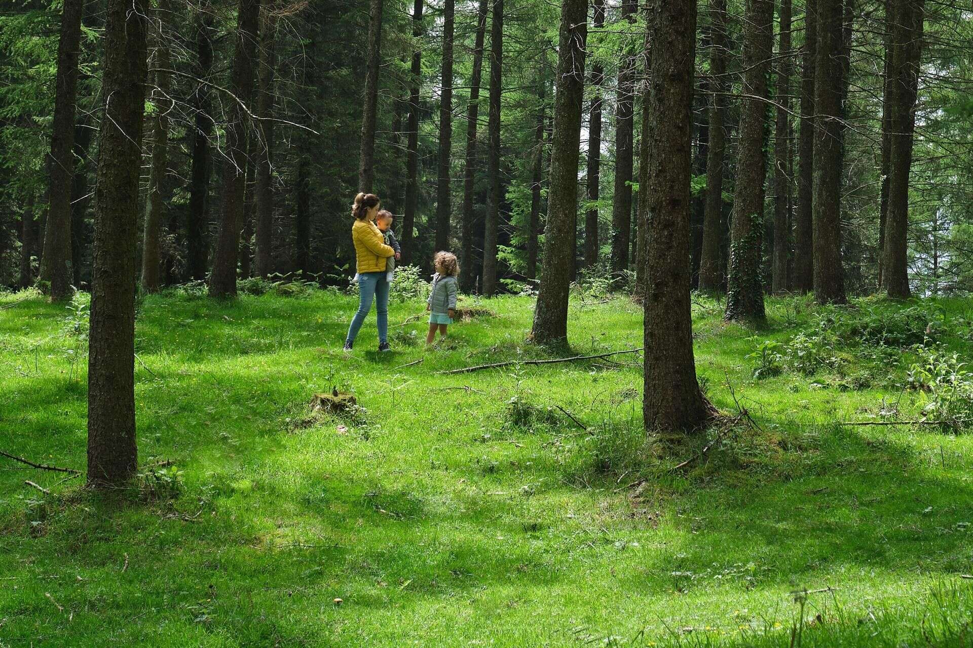 ŚWIATOWY DZIEŃ ZDROWIA PSYCHICZNEGO Akcja spacer! Polacy wyruszyli do lasów i parków