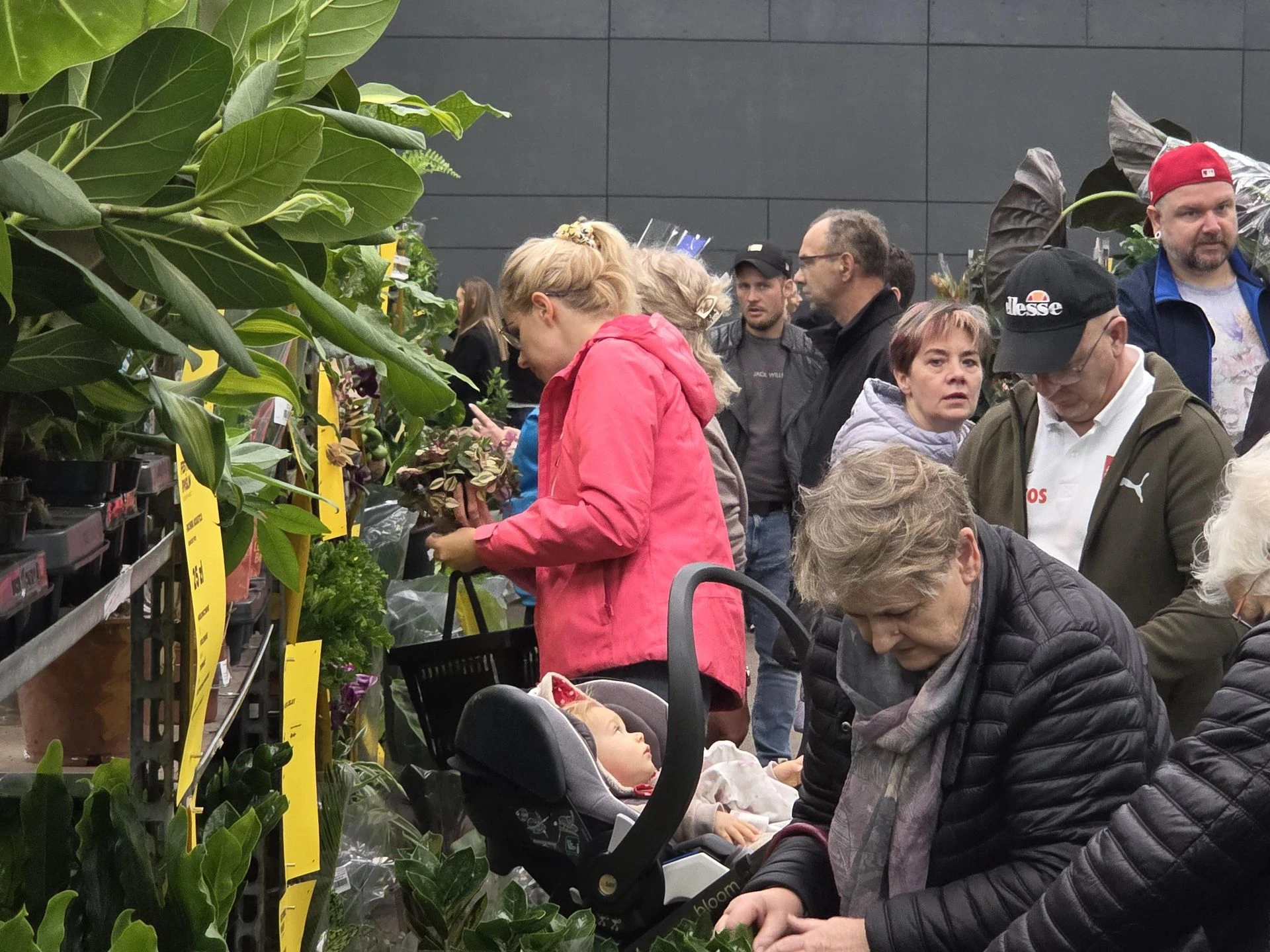 Mamy relację! Festiwal Roślin znów zachwycił bydgoszczan! Setki gatunków i wyjątkowa atmosfera