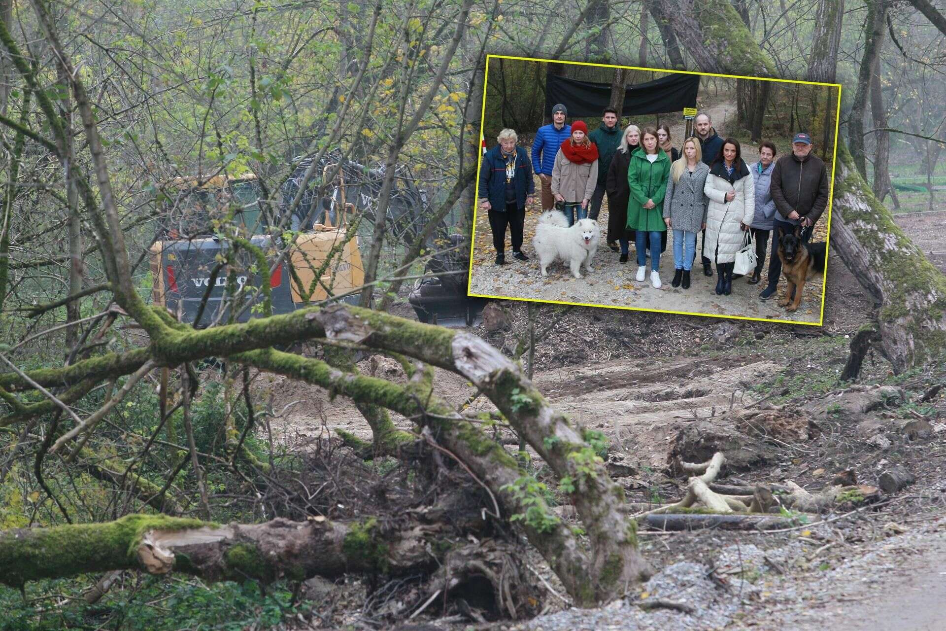 AWANTURA W WAWRZE Mieli wyciąć tylko kilka chorych drzew, a przetrzebili kawałek lasu. Mieszkańcy apel…