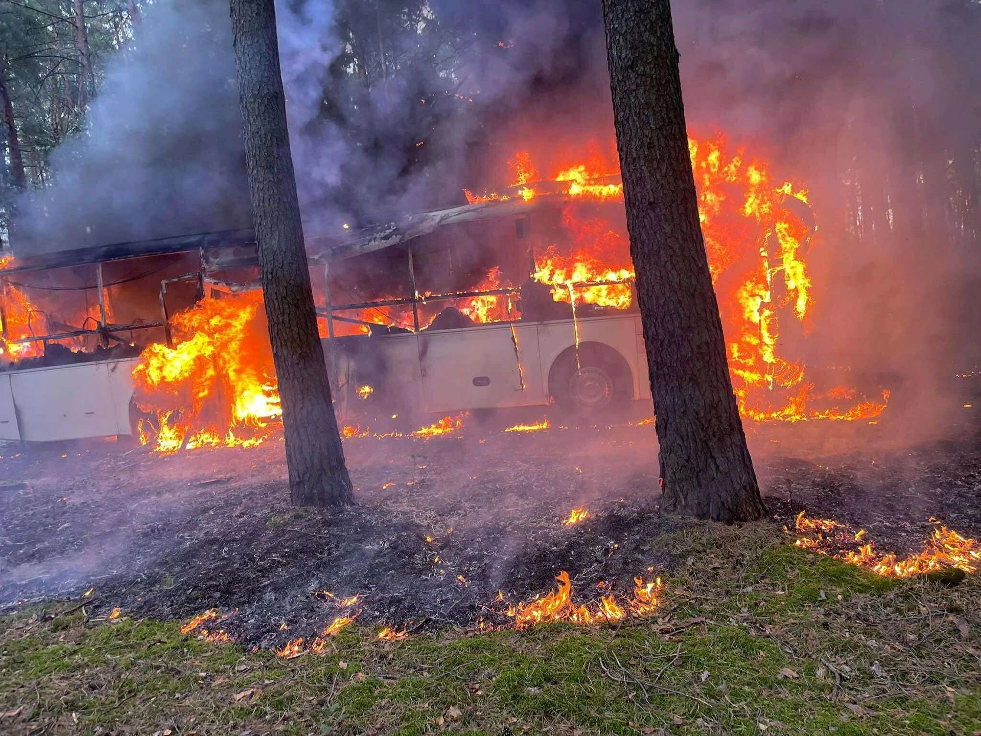 O krok od tragedii! Pożar autobusu z przedszkolakami w Wielkopolsce! W pojeździe było 44 dzieci i 5 opiekunów