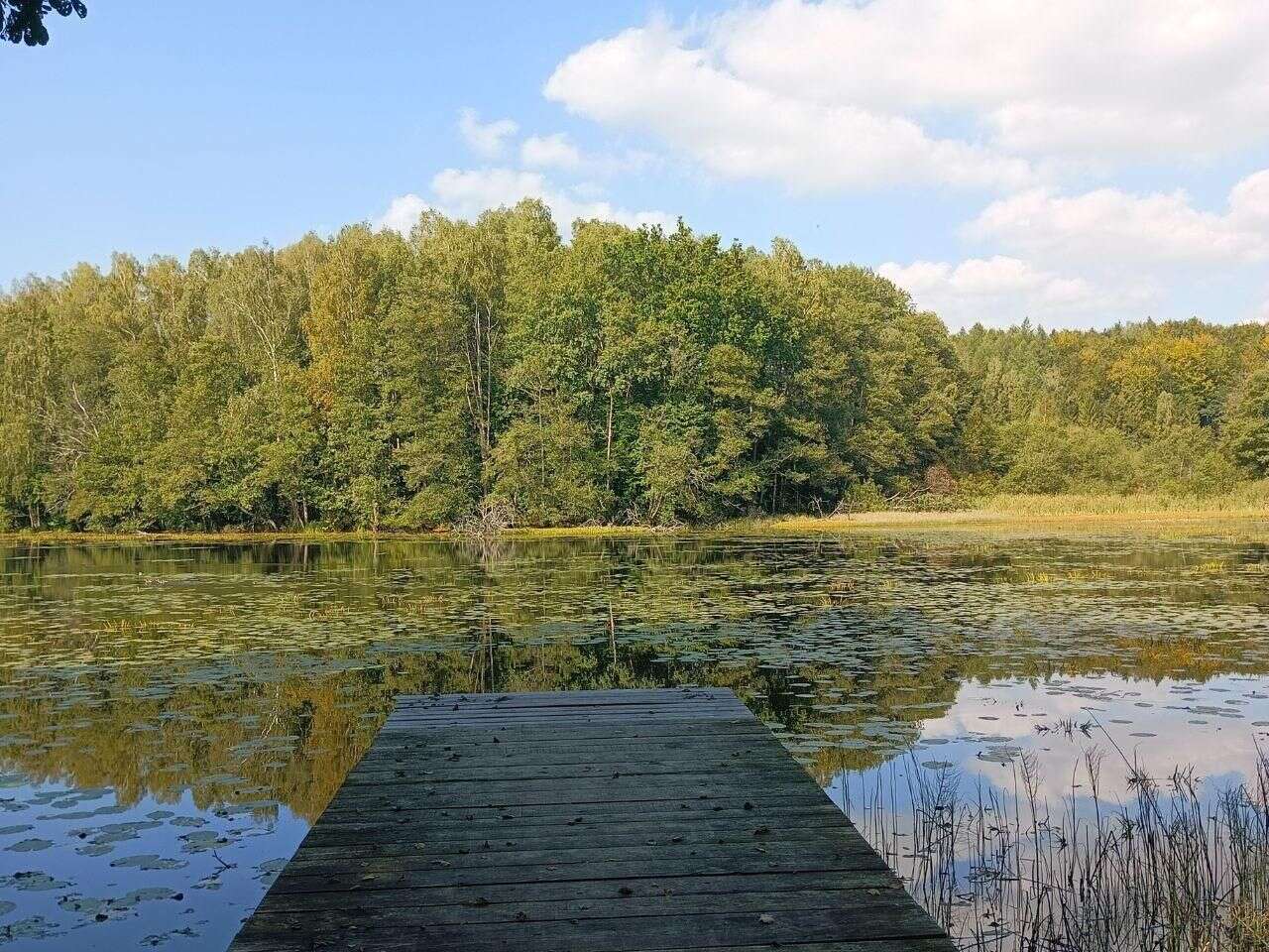 Warte zobaczenia! Urokliwe miejscówki w Trójmieście i okolicach