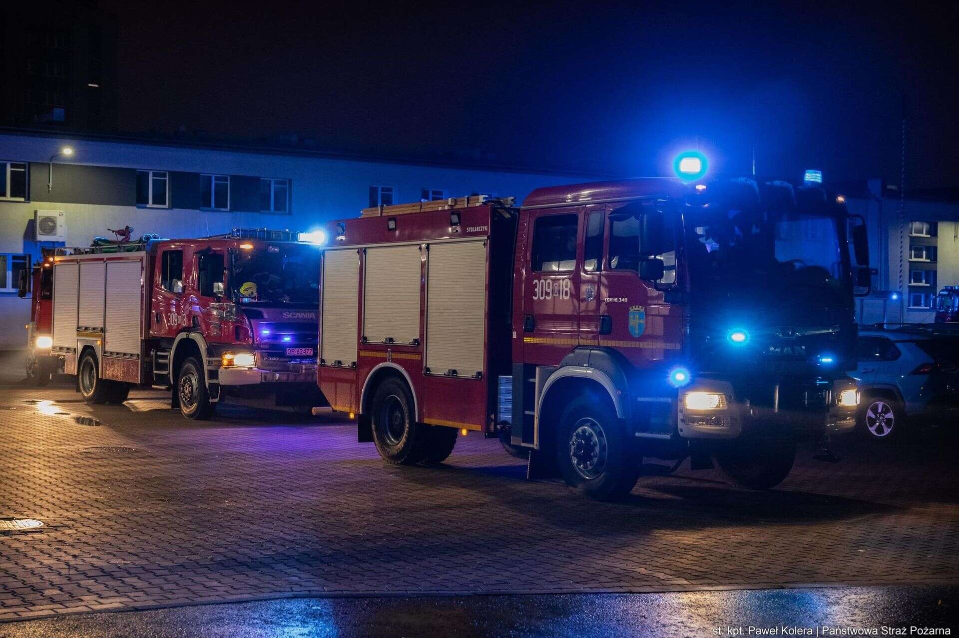 Strażacy uratowali kota Tragiczny pożar mieszkania w Opolu. 60-latek zginął w płomieniach