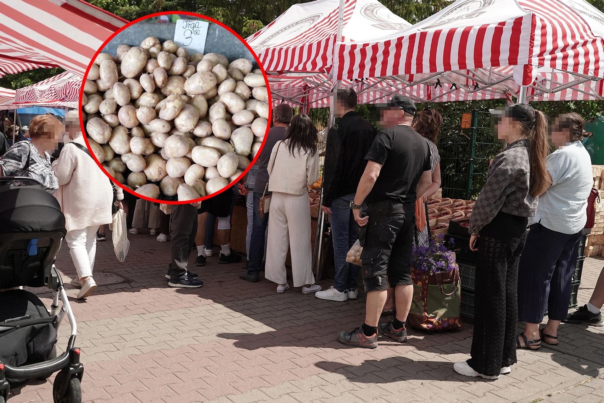 Ze straganu prosto na talerze! Euforia na straganie! Młode ziemniaczki robią furorę!