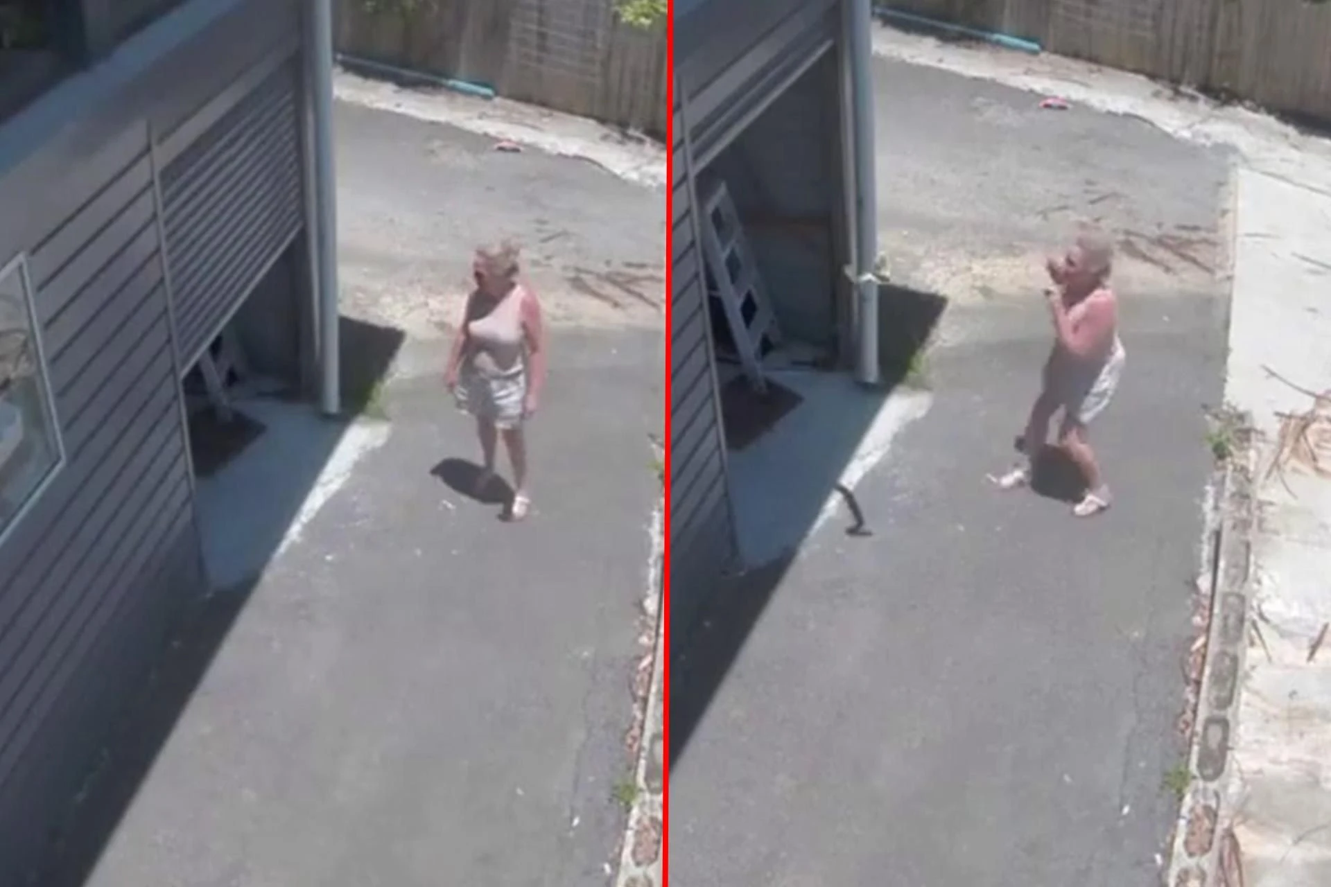 Groza! Poszła do garażu i wyskoczyła na nią bestia! Wideo może przerazić