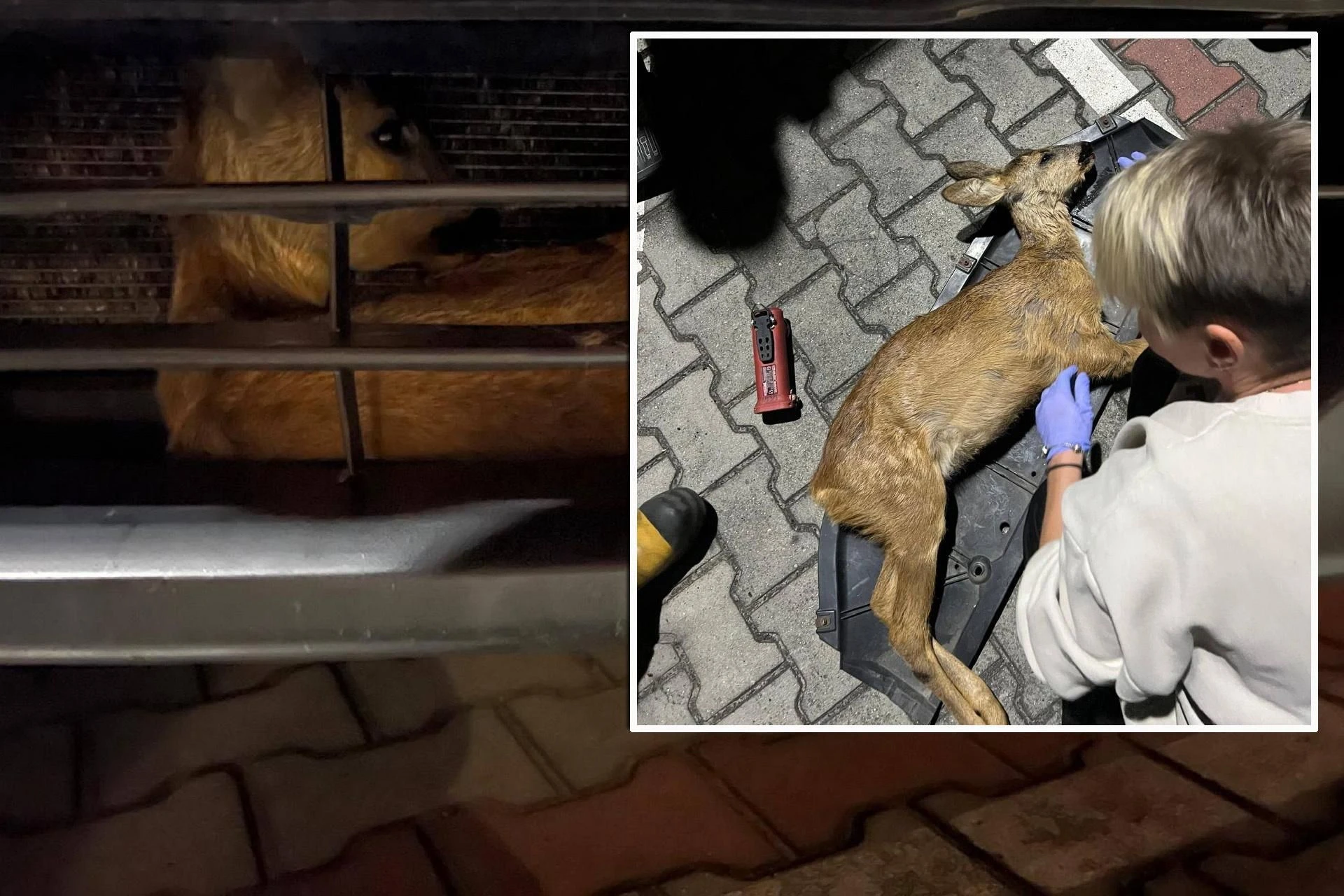 Kierowca sam nie wierzył Strażak mówi o 