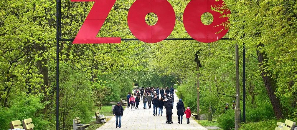 UWAGA! Pilny apel warszawskiego ZOO. Chodzi o pryszczycę!