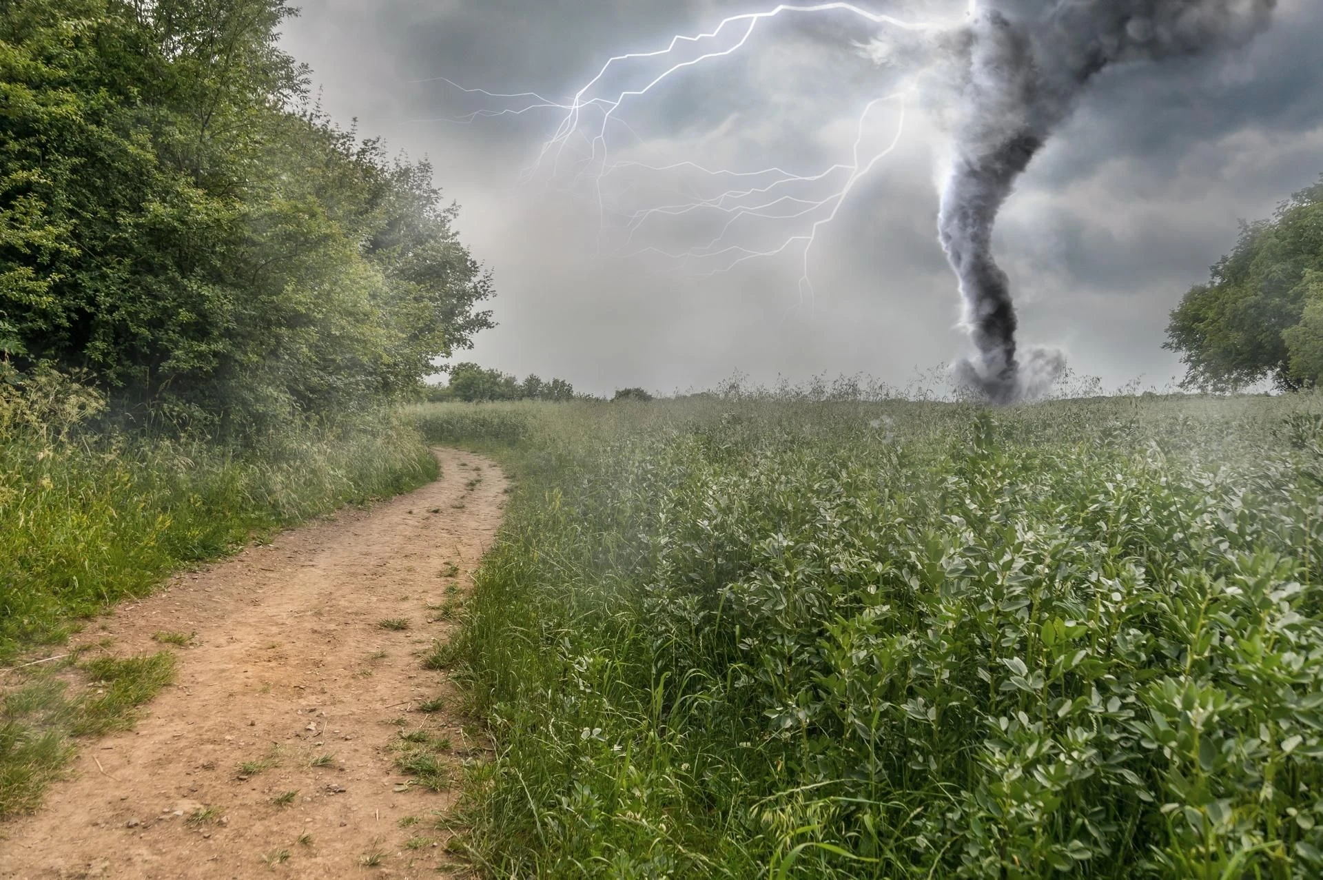 Tyle było interwencji Trąba powietrzna pod Gnieznem! Jest nagranie. Wystarczyła chwila, żeby rozdzwoniły się telefony do straży