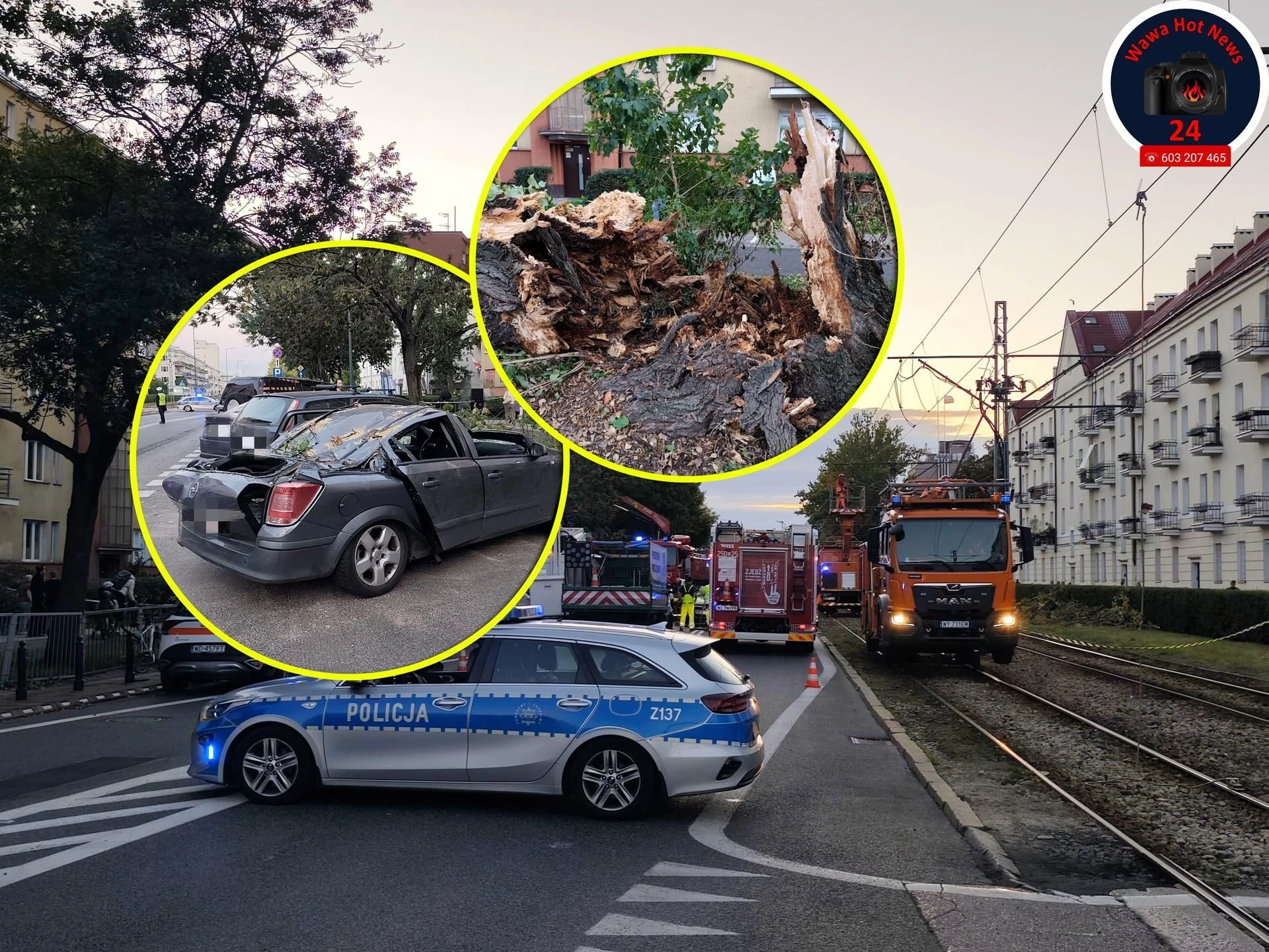 Chwile grozy! Dramat na Żoliborzu. Drzewo runęło na samochody, kobieta z dzieckiem w pułapce