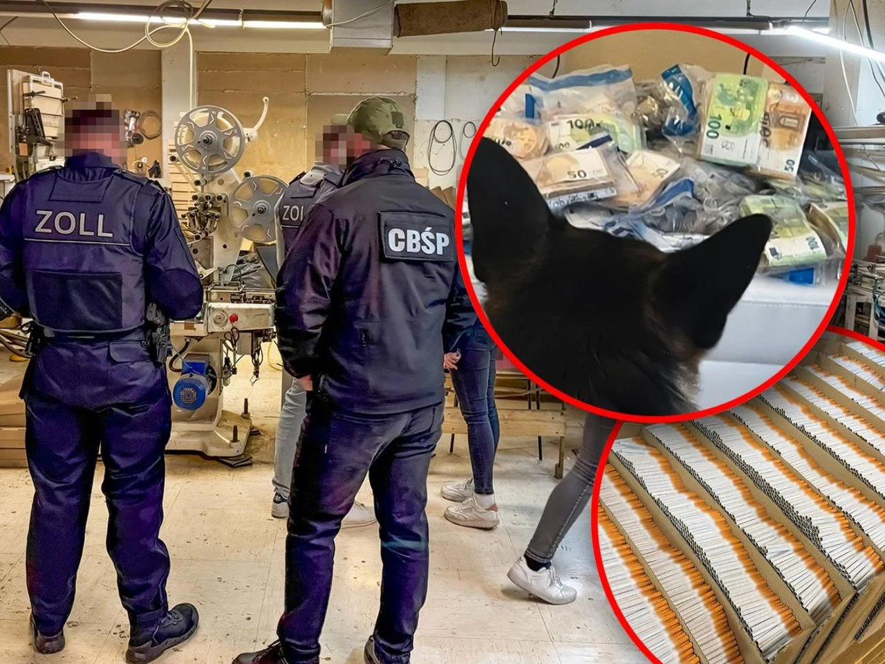 Nielegalny proceder Międzynarodowa akcja służb. Miliony nielegalnych papierosów. Wśród zatrzymanych są P…