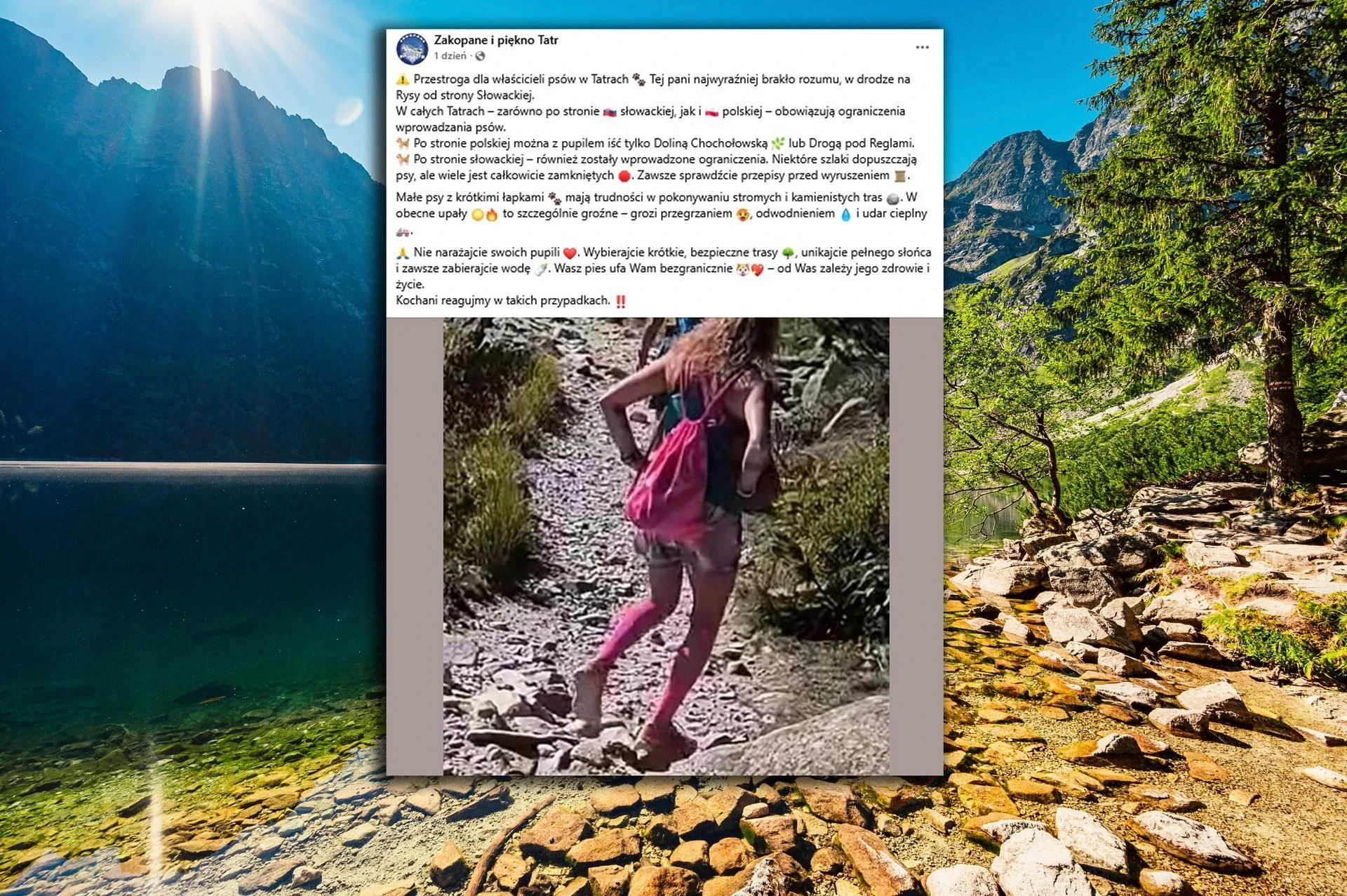 Internauci oburzeni Zrobili zdjęcie turystce w Tatrach. Niewiarygodne, co ze sobą wzięła na szlak