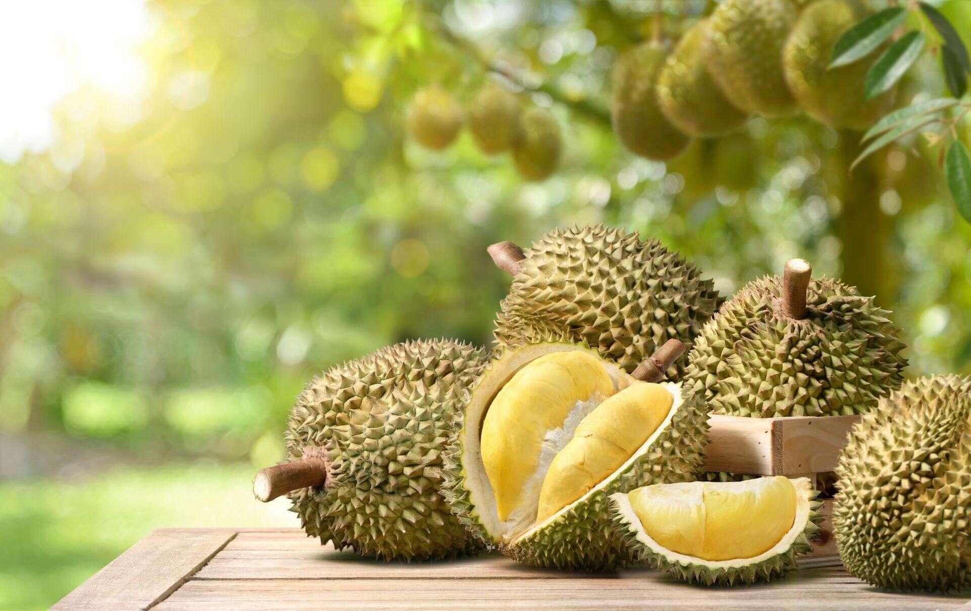 Durian – owoc o kontrowersyjnej sławie. Co warto wiedzieć o durianie?