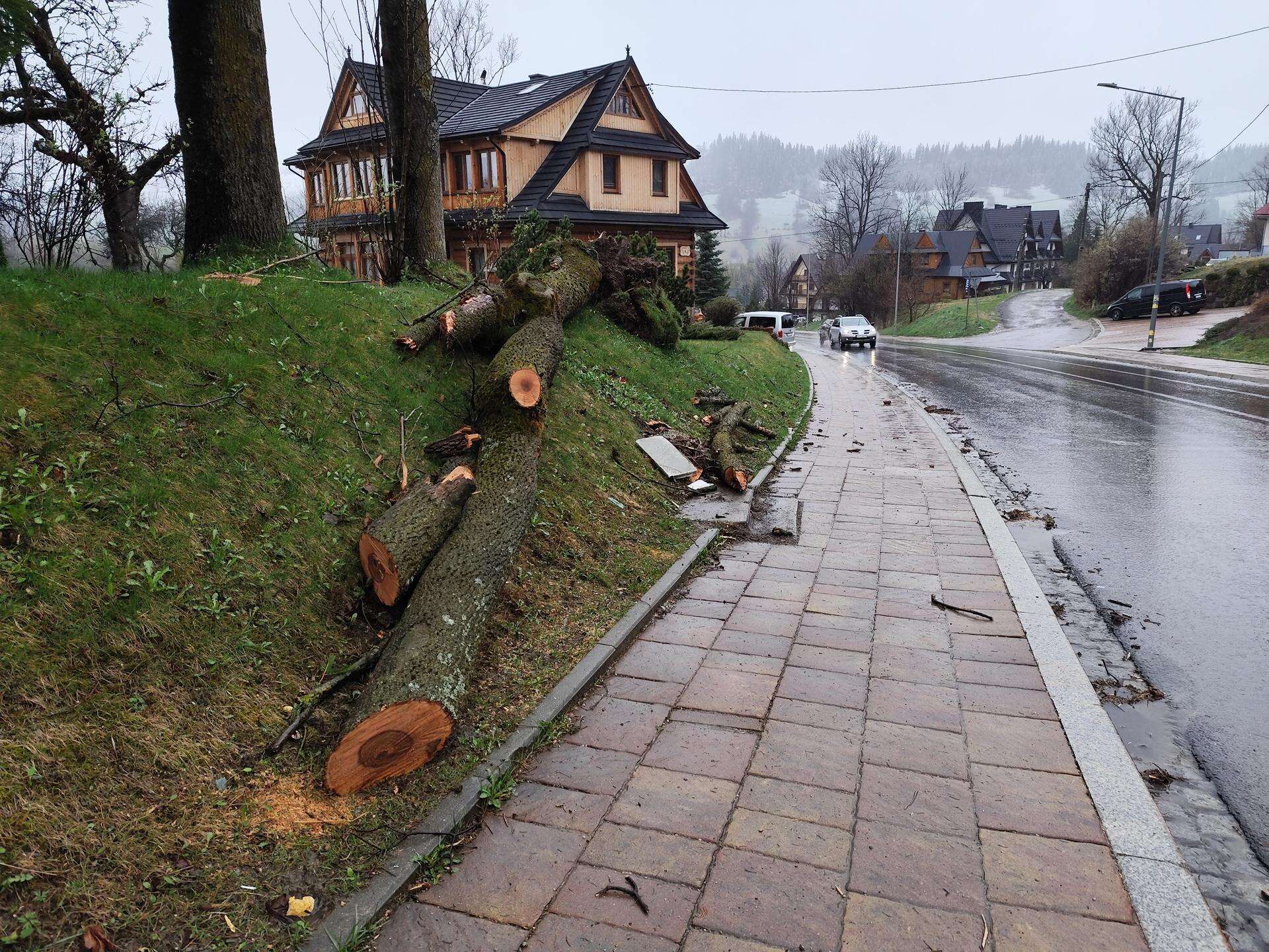 Tragedia w Zakopanem Basia zginęła, jej pies przeżył. Strażacy mówią o ogromnym pechu