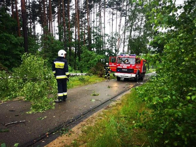 Burze i ulewy w Śląskiem. Połamane drzewa i ulice jak rwące potoki! To dopiero poc...