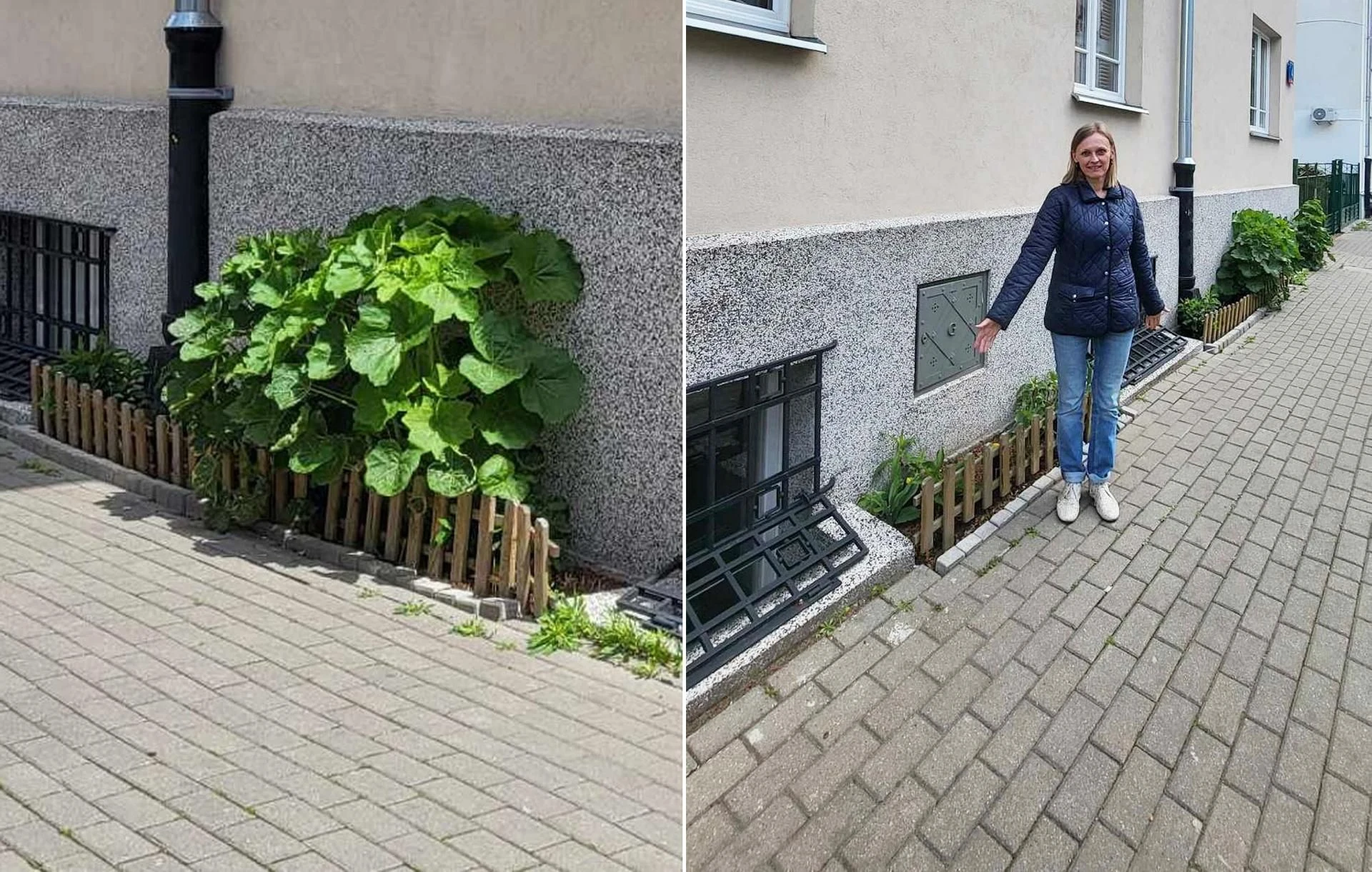 Sukces SE i ESKI Urzędnicy w Warszawie chcieli ukarać panią Sylwię za posadzenie kwiatów. Jest decyzj…