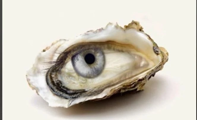 Poznaj prawdę Przyjrzyj się dokładnie. To, co zobaczysz wyjawi Twoją przyszłość. Jedna ważna rada …