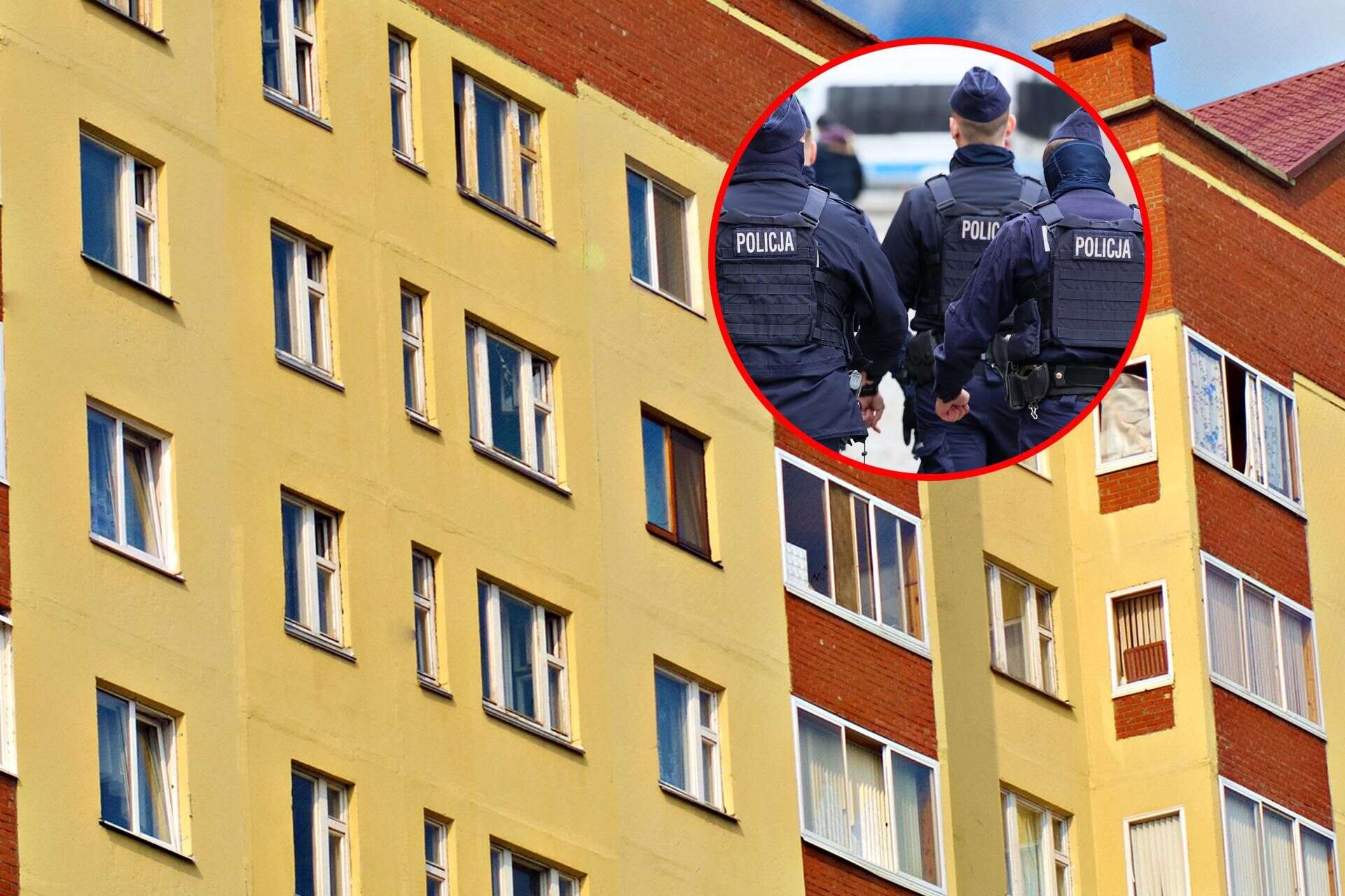 Poważne zarzuty! Dwoje małych dzieci na parapecie okna na 4. piętrze! Matkę zatrzymała policja. Szok …