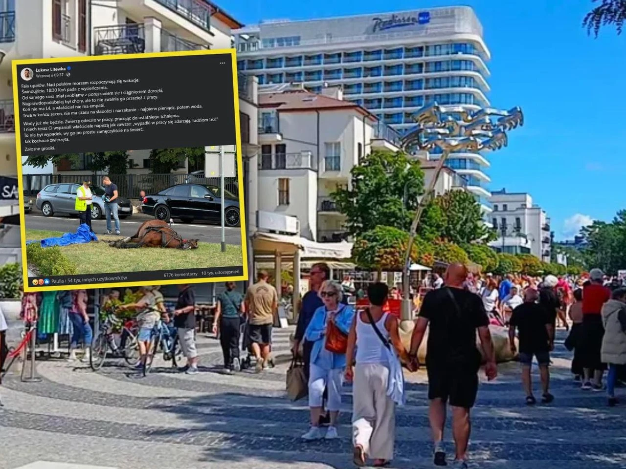 Śmierć zwierzęcia Na promenadzie w Świnoujściu padł koń. Poseł nie miał litości. 
