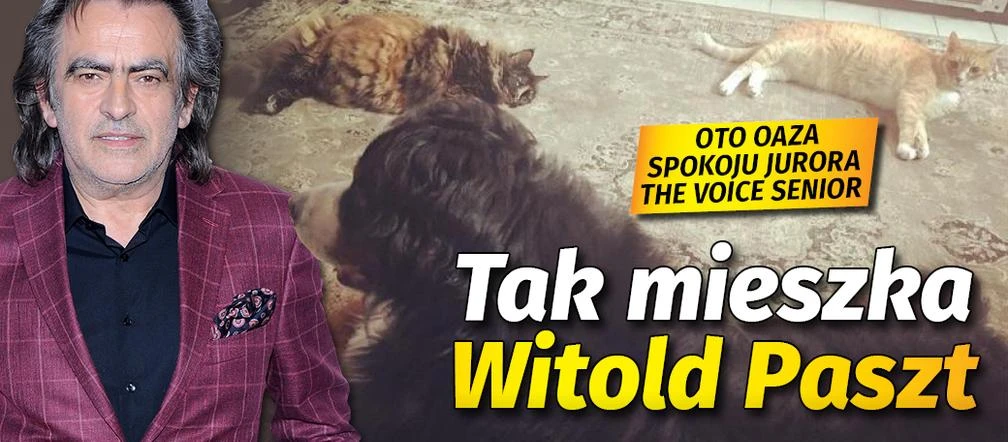 Aż Was zatka na widok tego, w jakich warunkach mieszka Witold Paszt! Juror 