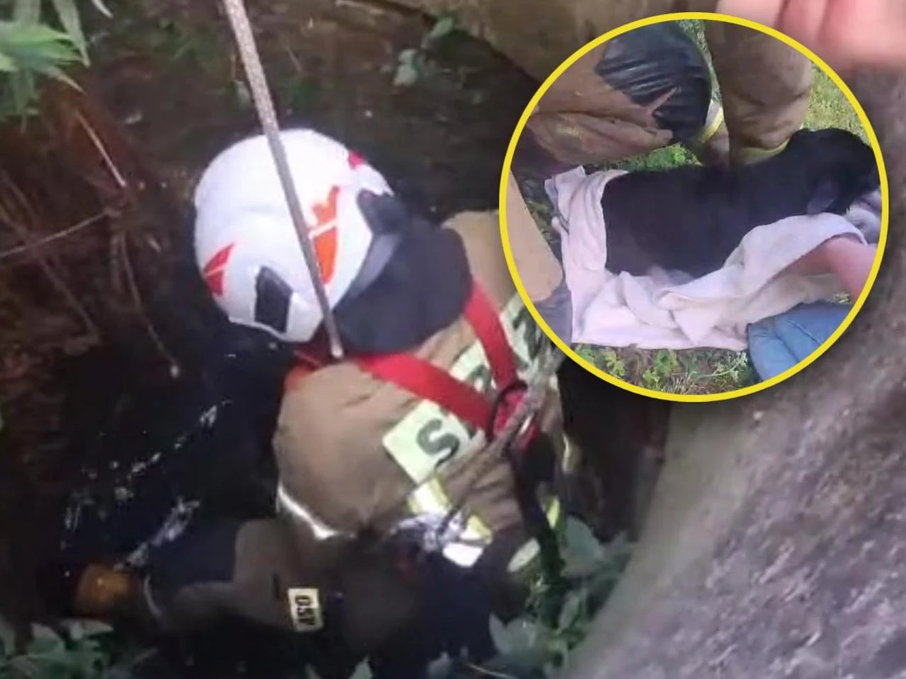 Służby w akcji Pies wpadł do głębokiej studni. Na pomoc ruszyli strażacy