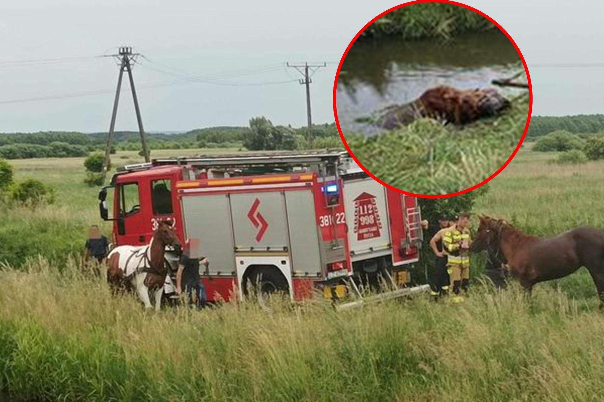 Na pomoc ruszyli strażacy Z wody wystawała tylko głowa. Mężczyzna rzucił się na ratunek, ale nie dał rady