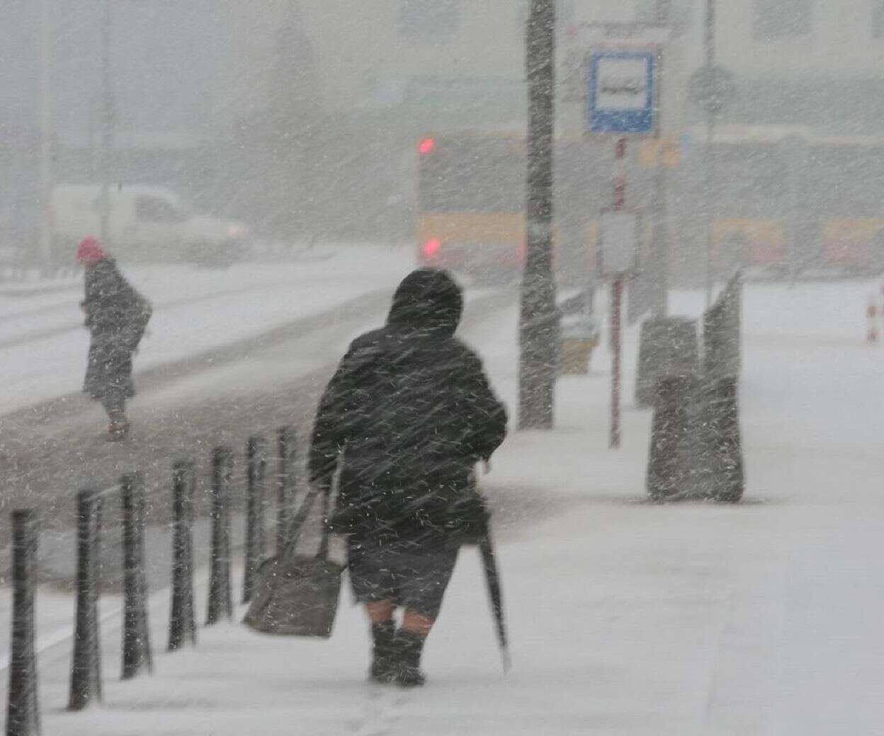 Najnowsza prognoza Śnieżyce powracają! Wskazali konkretne daty i regiony