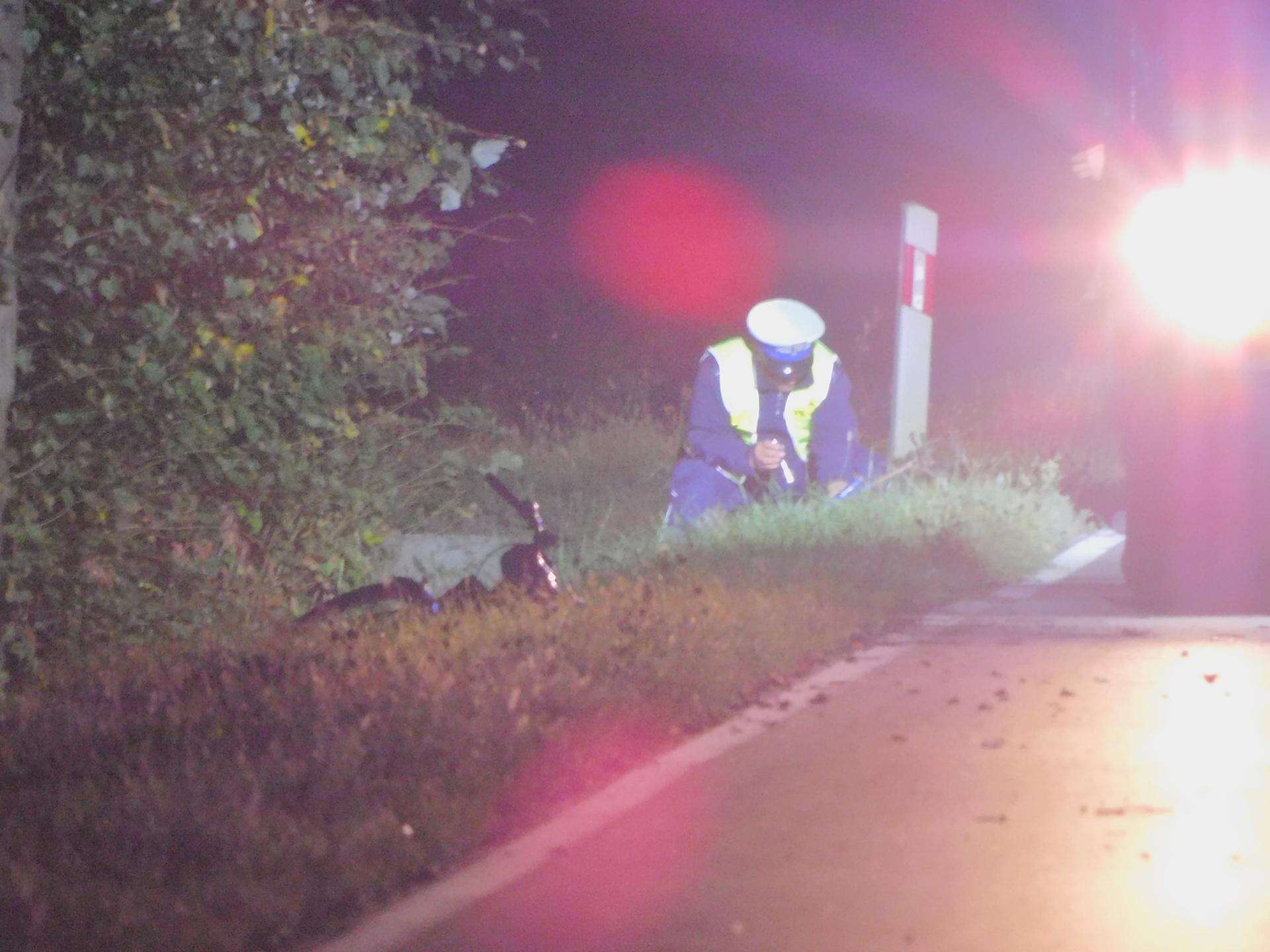 NOWE INFORMACJE Tragedia w Magnuszewie. Kierowca wjechał w pieszych, trzy osoby nie żyją. Policja za…