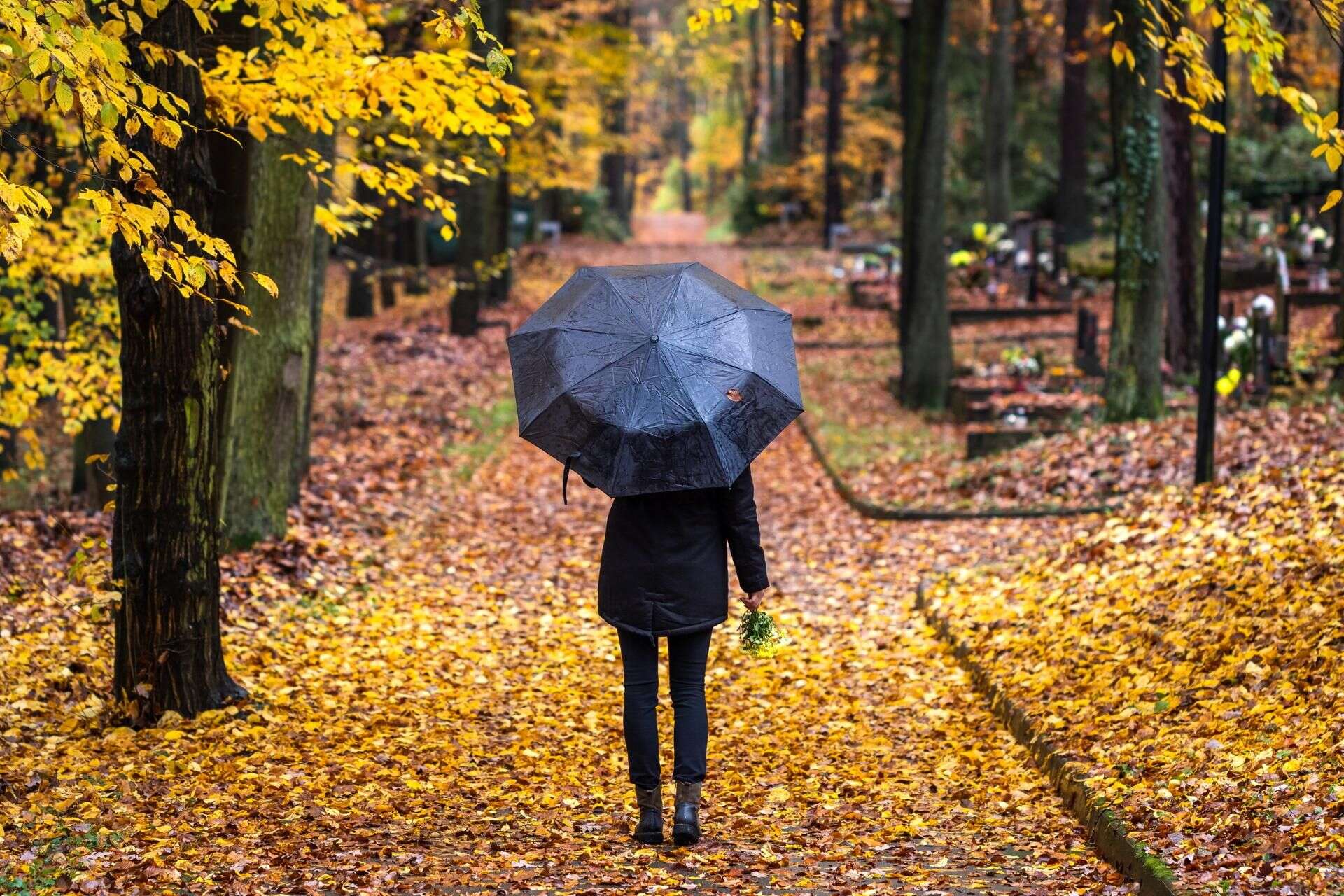 Prognoza długoterminowa Pogoda na listopad. Temperatury i opady zaskoczą Polaków