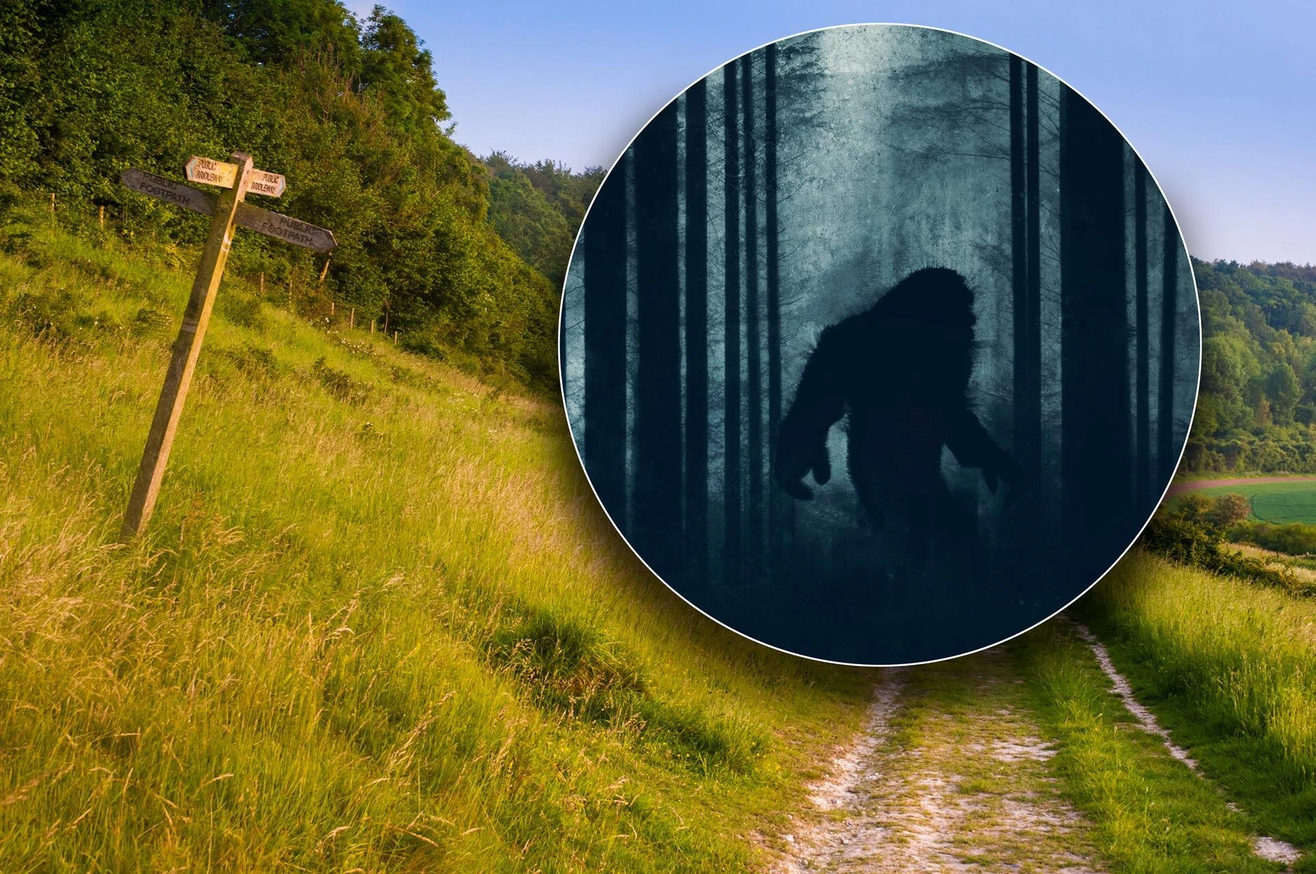 Włochacz nie odpuszcza! Yeti pojawił się w Europie?! Relacja świadka budzi grozę