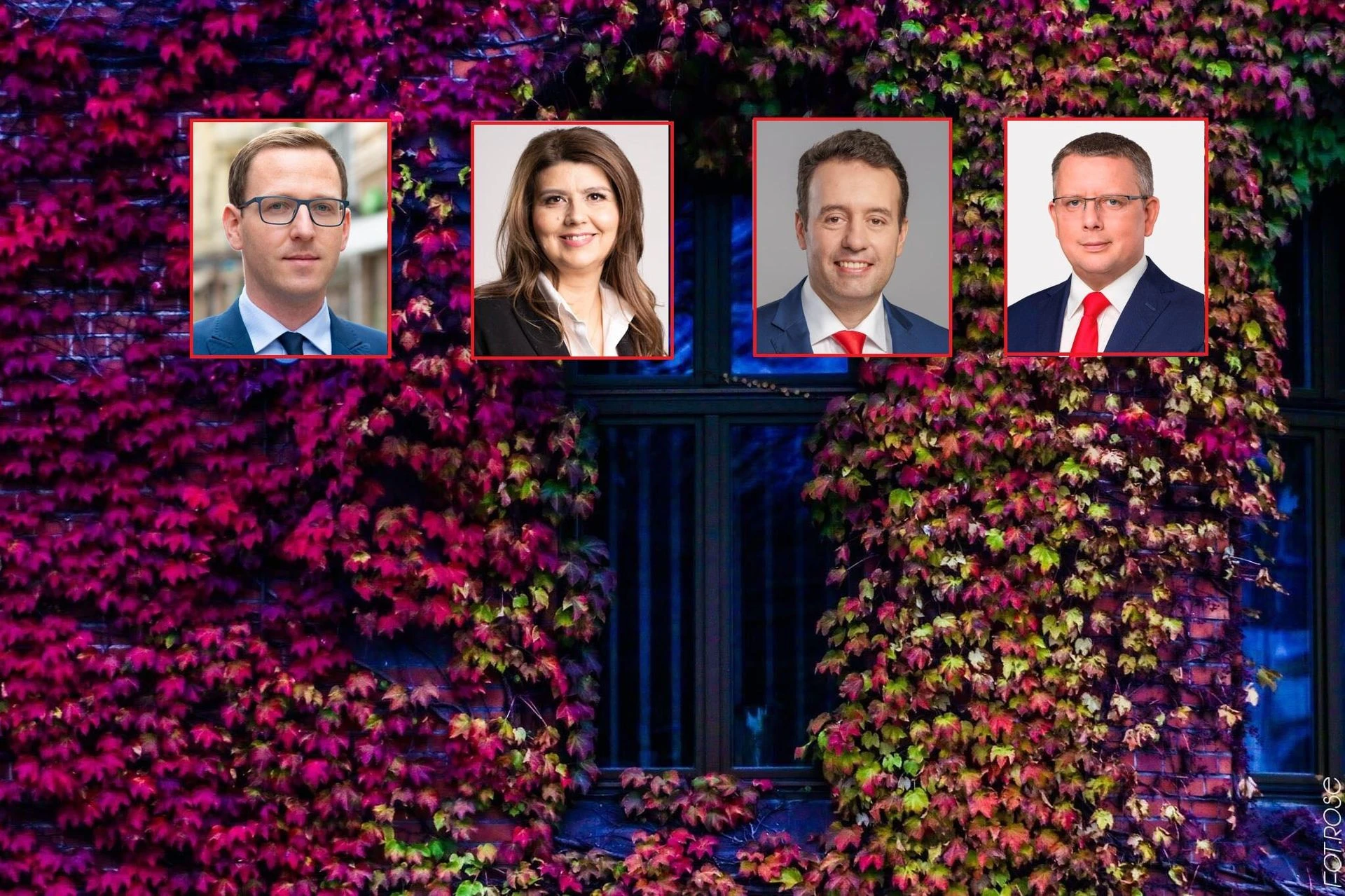 Zapracowani! Radni Koalicji Obywatelskiej to pracusie
