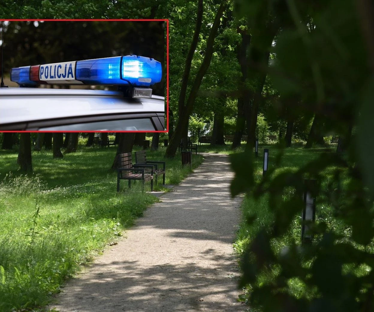 Nowe fakty To on zaatakował kobietę w parku. Wiemy, kim jest